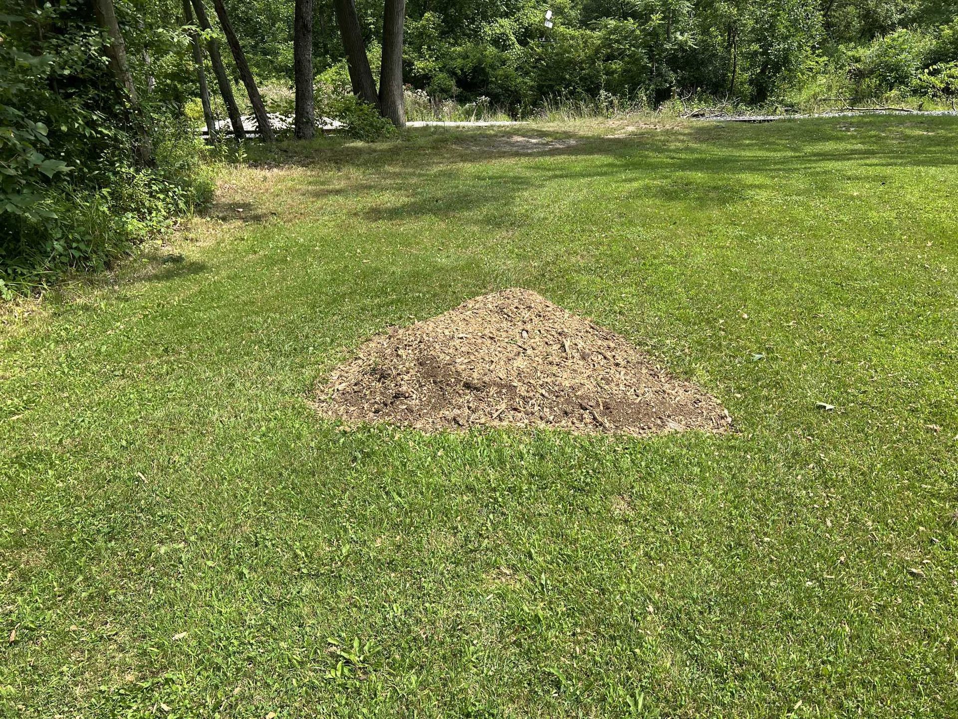 A pile of dirt is sitting in the middle of a lush green field.