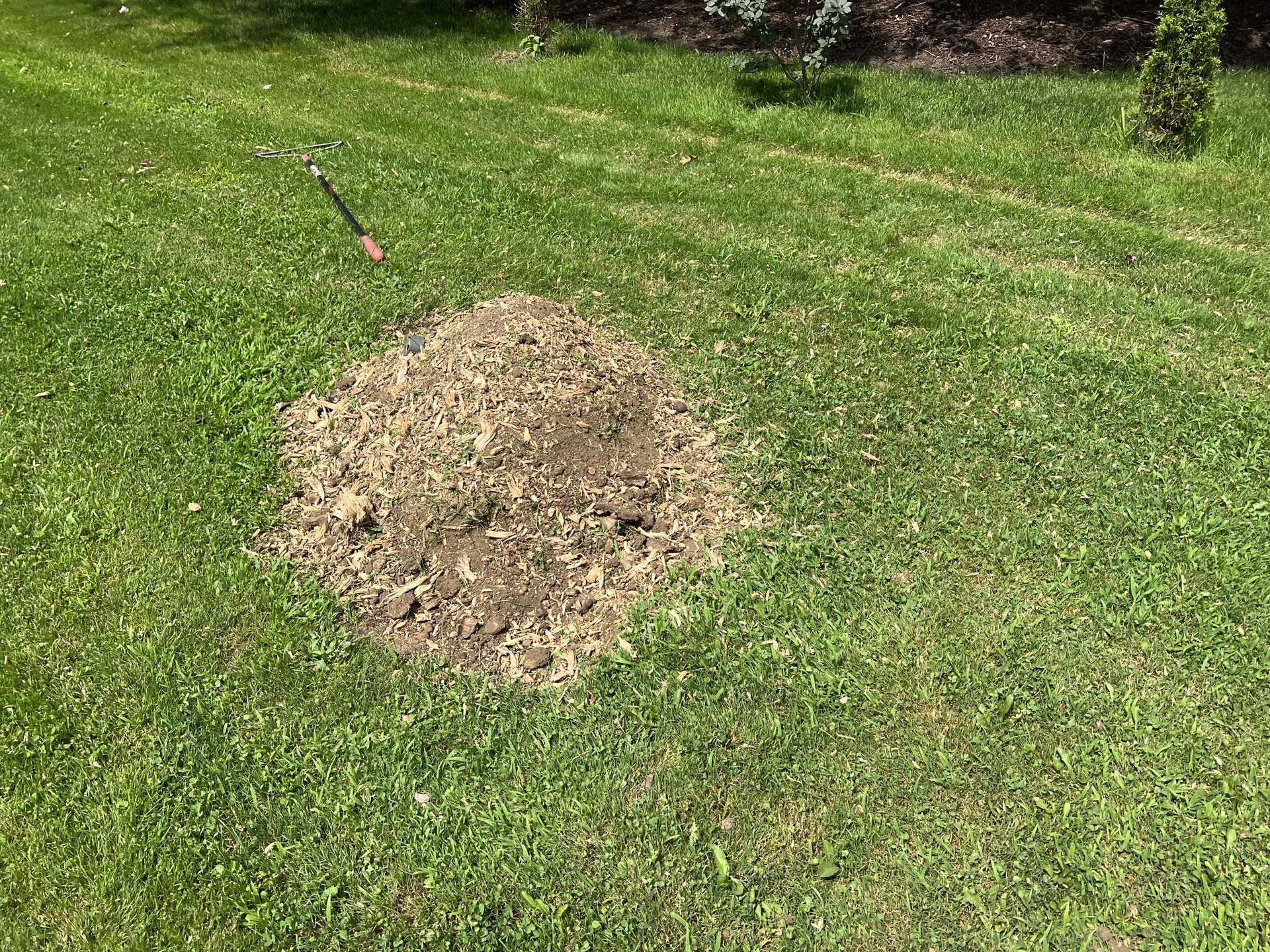 A pile of dirt is sitting on top of a lush green lawn.