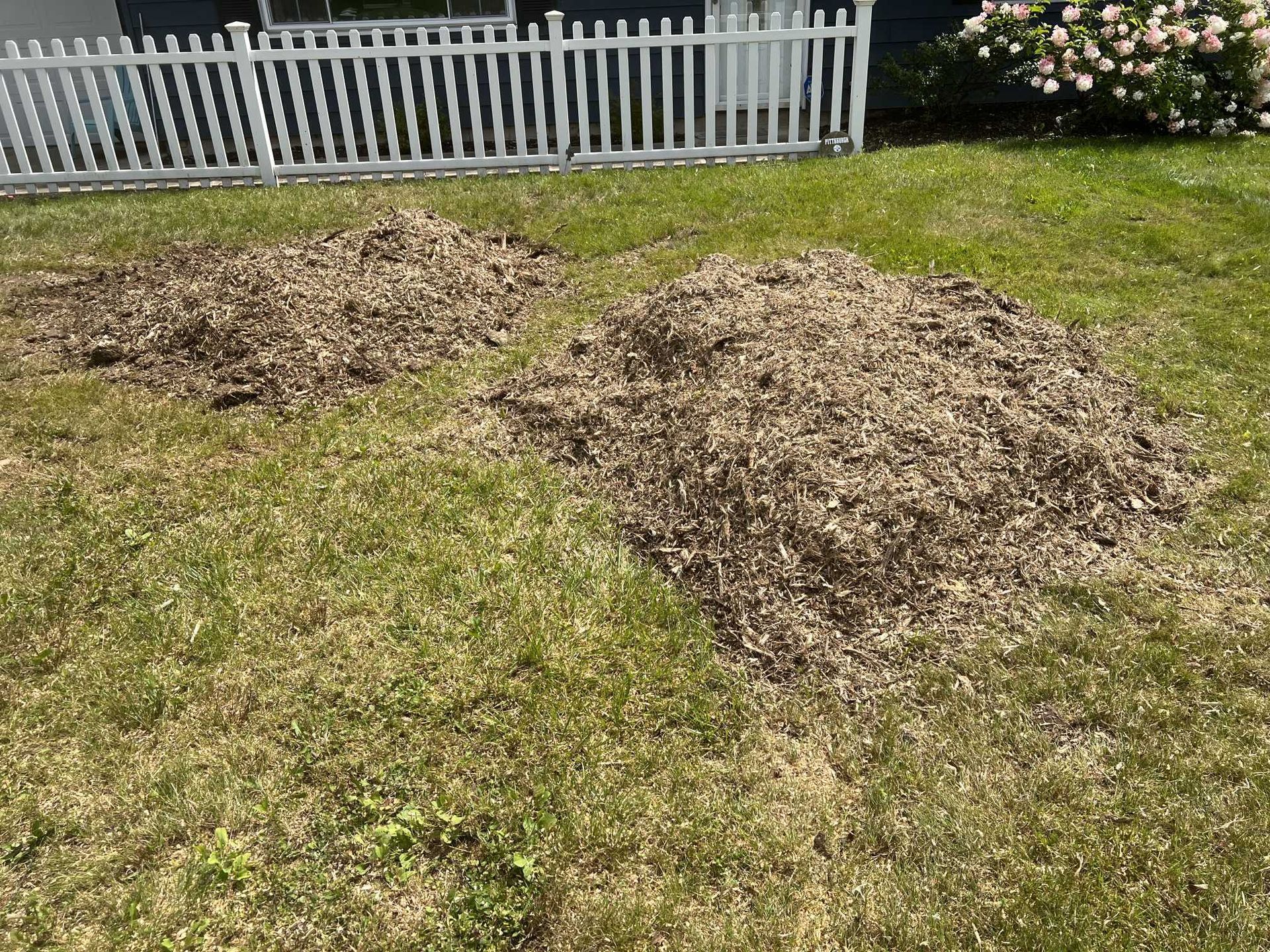 There are two piles of mulch in the grass in front of a white picket fence.