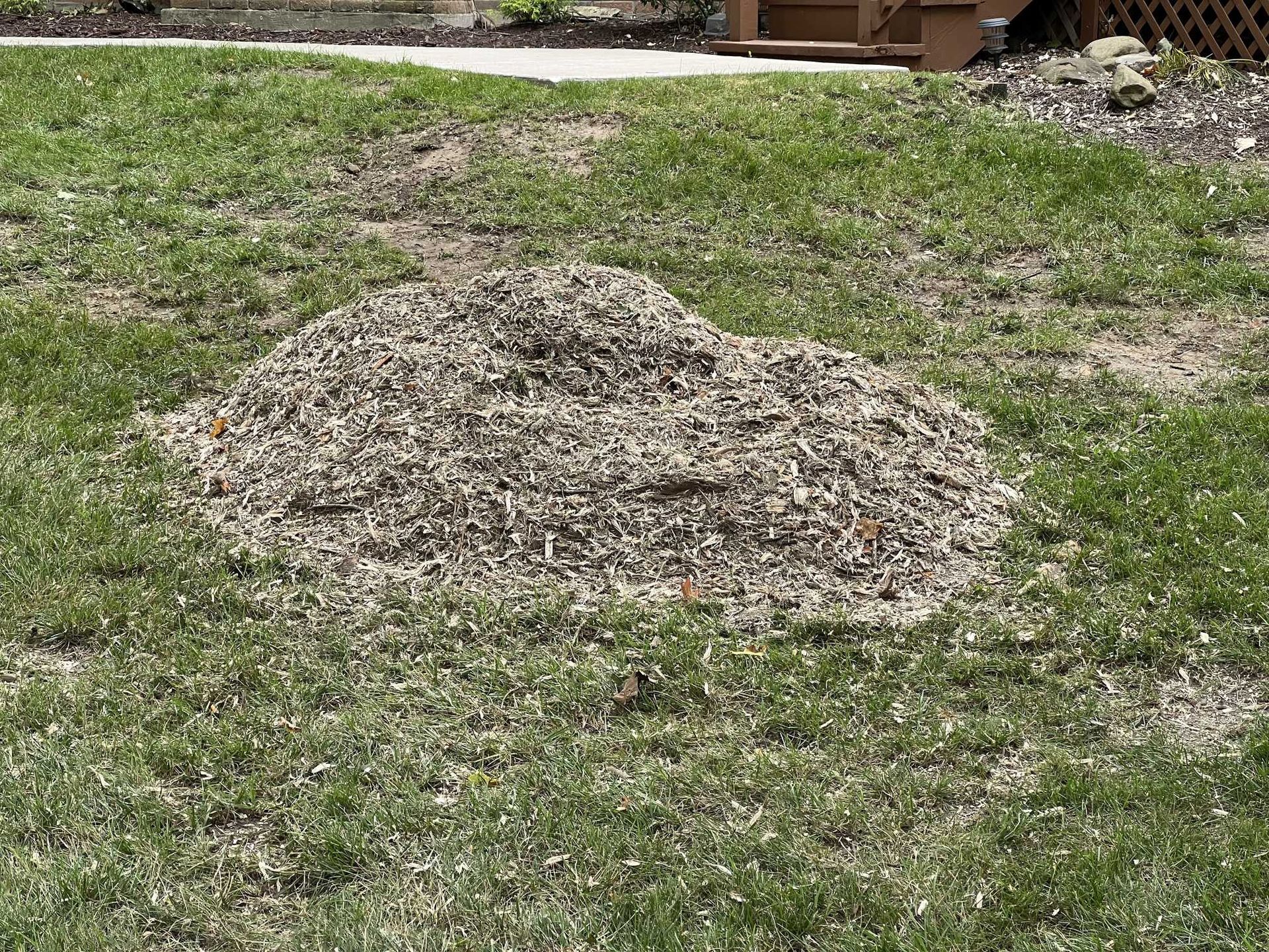 A pile of wood chips is sitting on top of a lush green lawn.