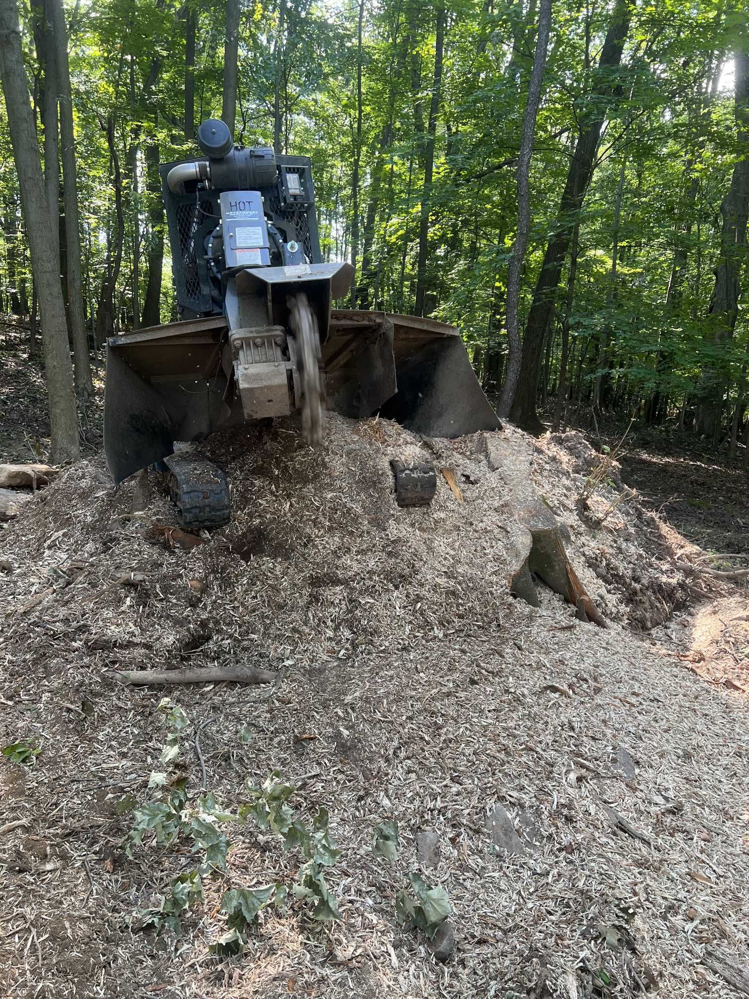 A bulldozer is cutting a tree stump in the woods.