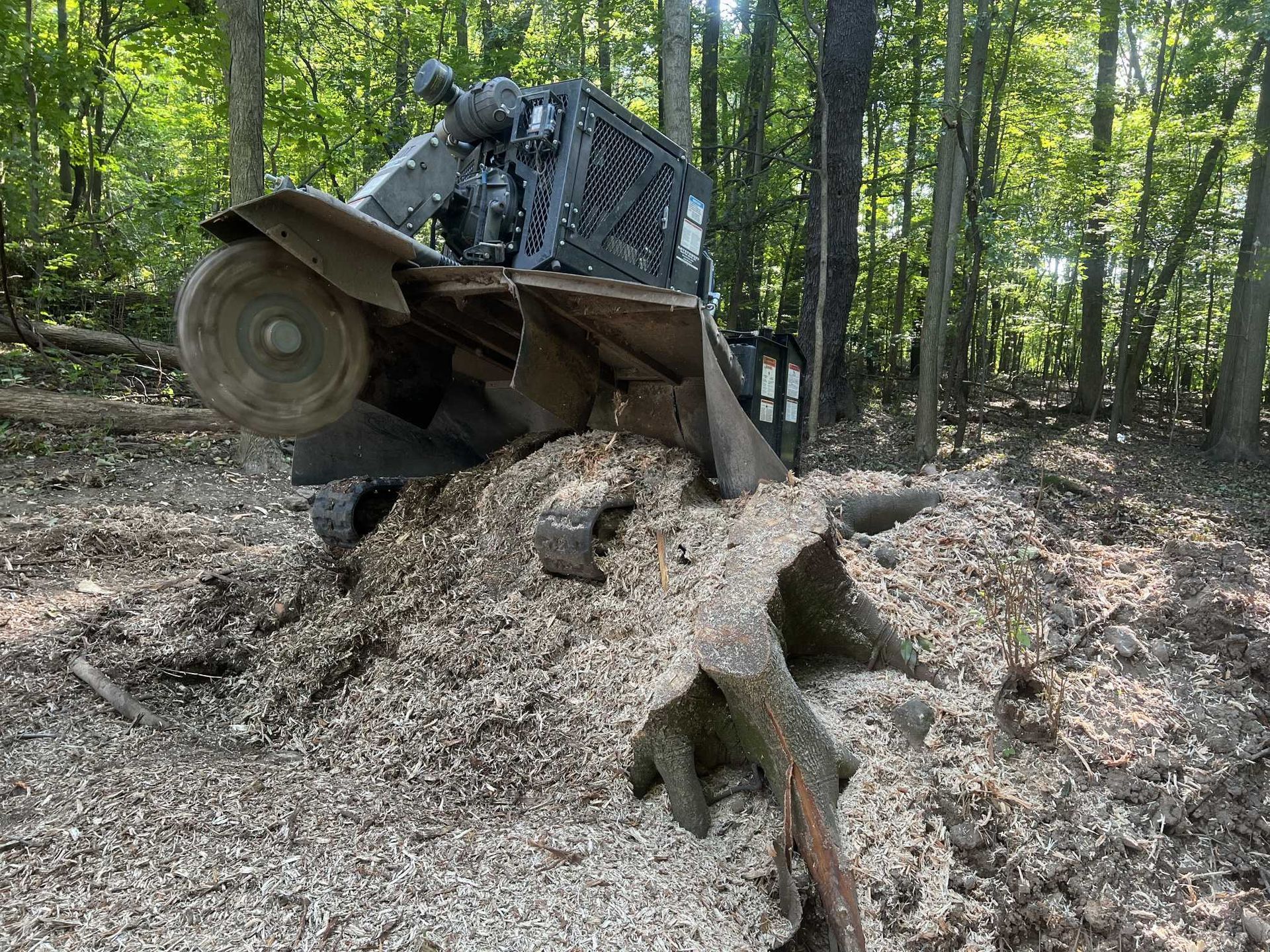 A bulldozer is sitting on top of a pile of wood chips in the woods.