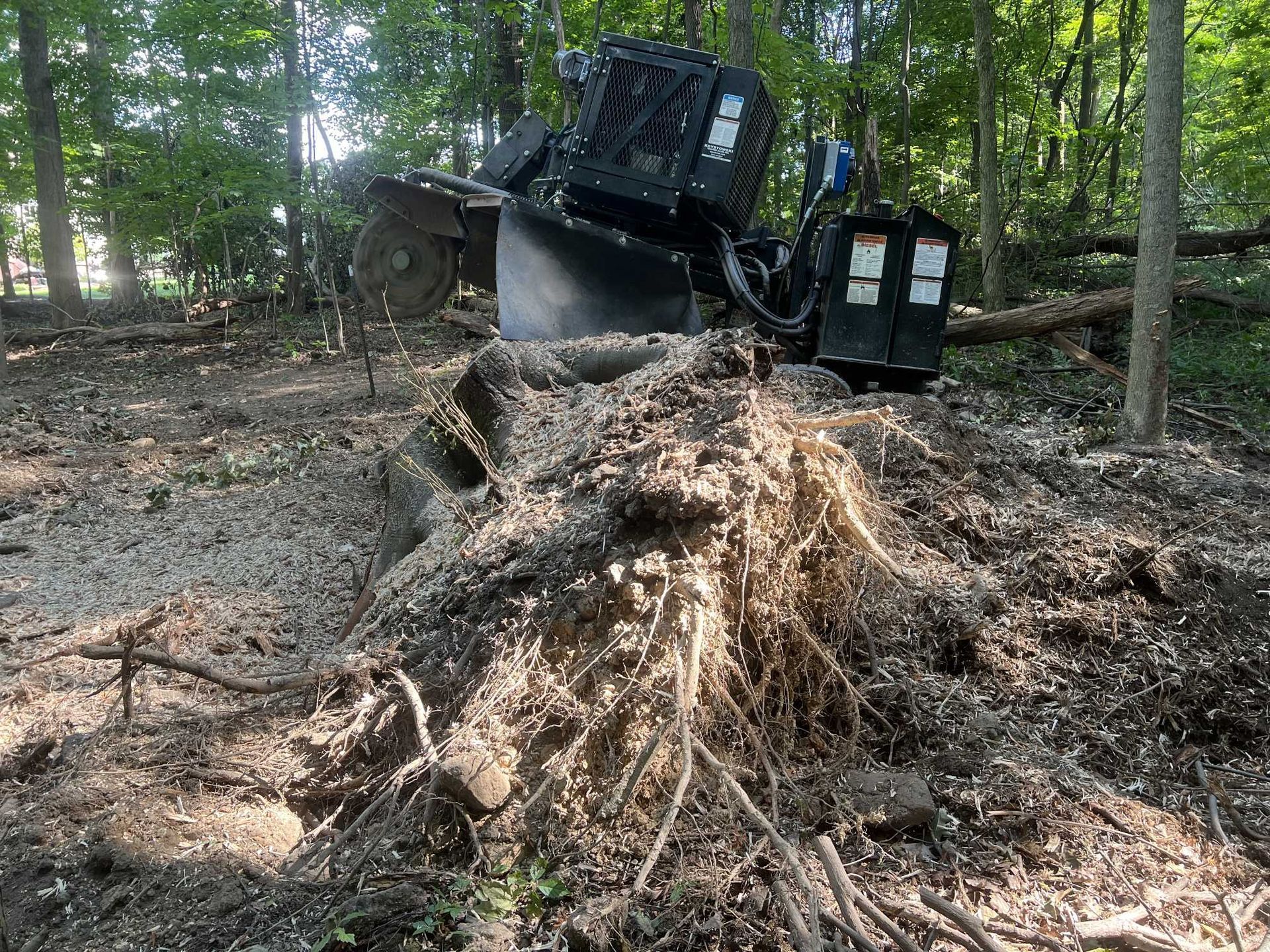A large tree stump is being removed by a machine in the woods.
