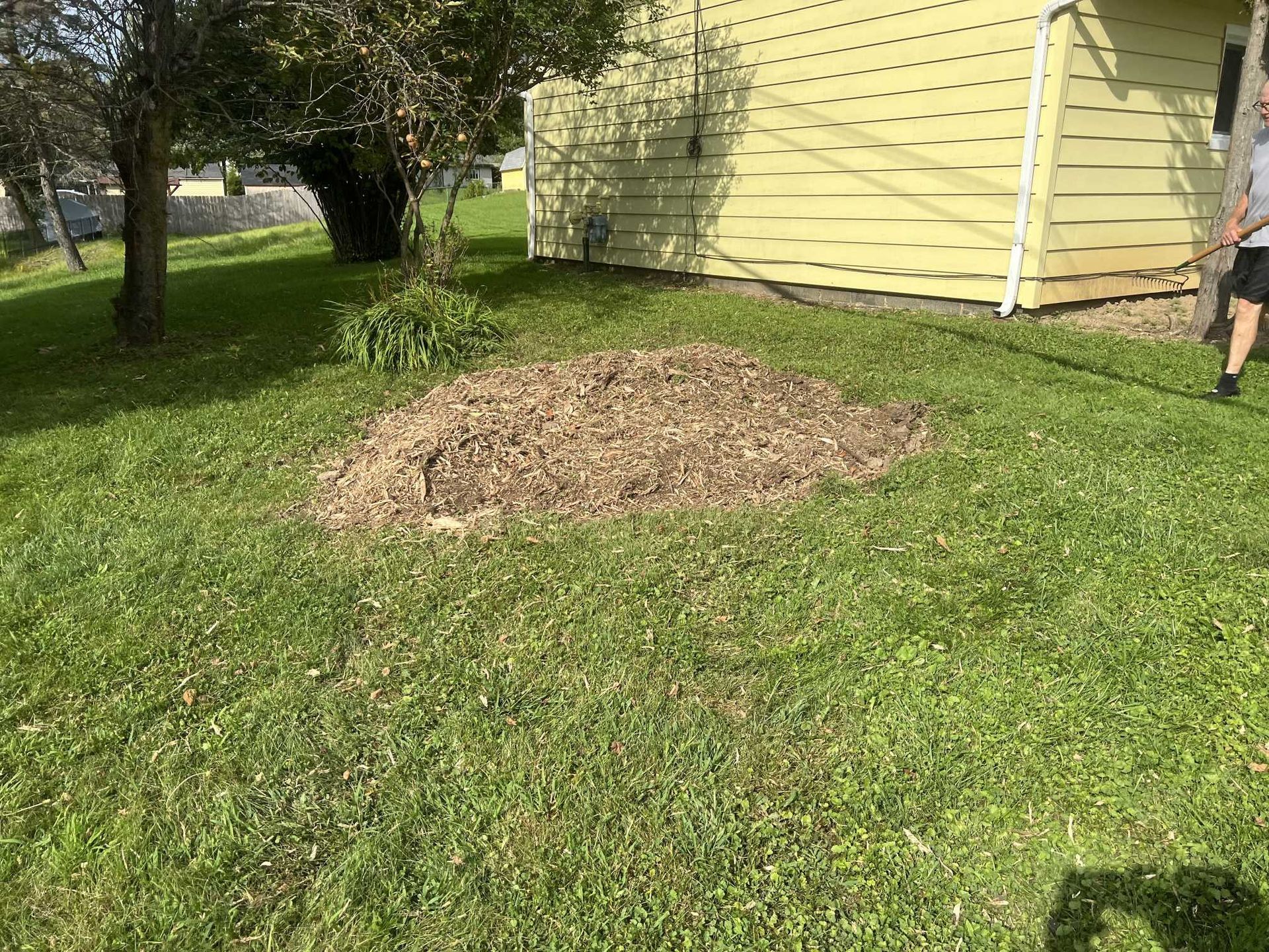 A person is standing in the grass in front of a house.