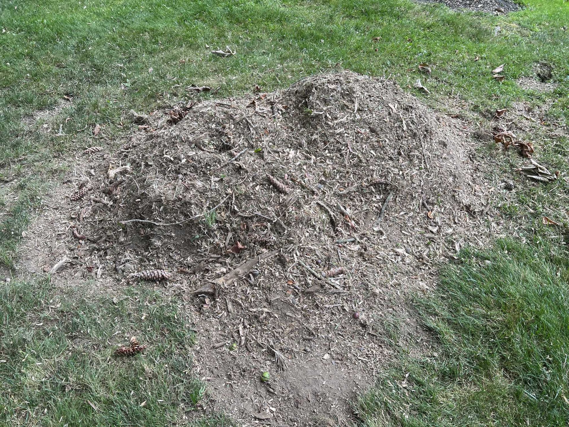 A pile of dirt is sitting on top of a lush green field.