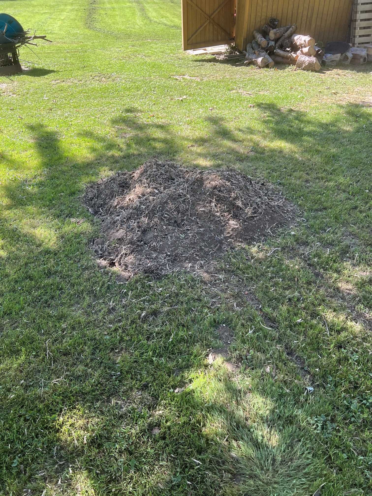A stump in the middle of a lush green lawn.