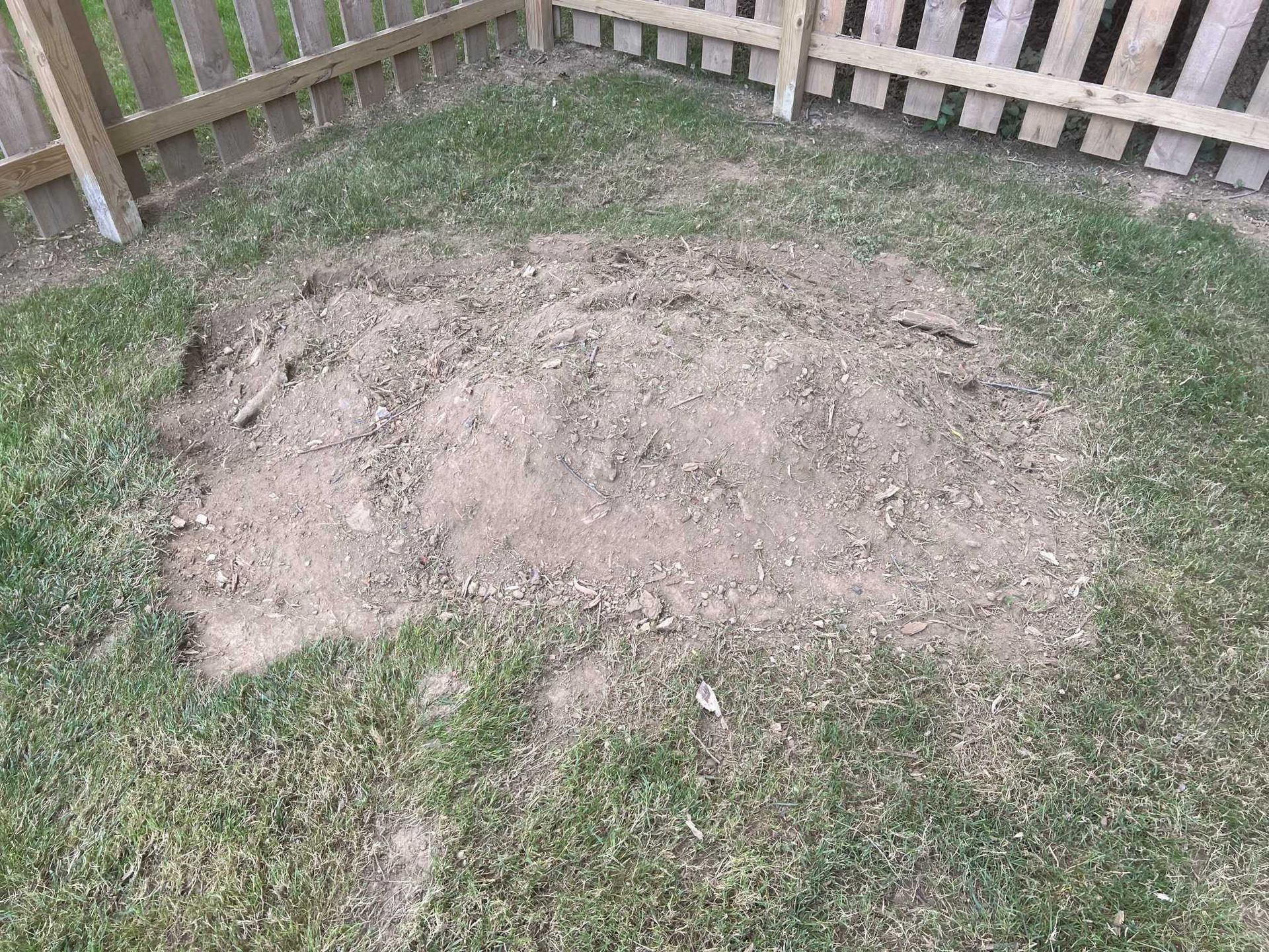 There is a hole in the grass next to a wooden fence.