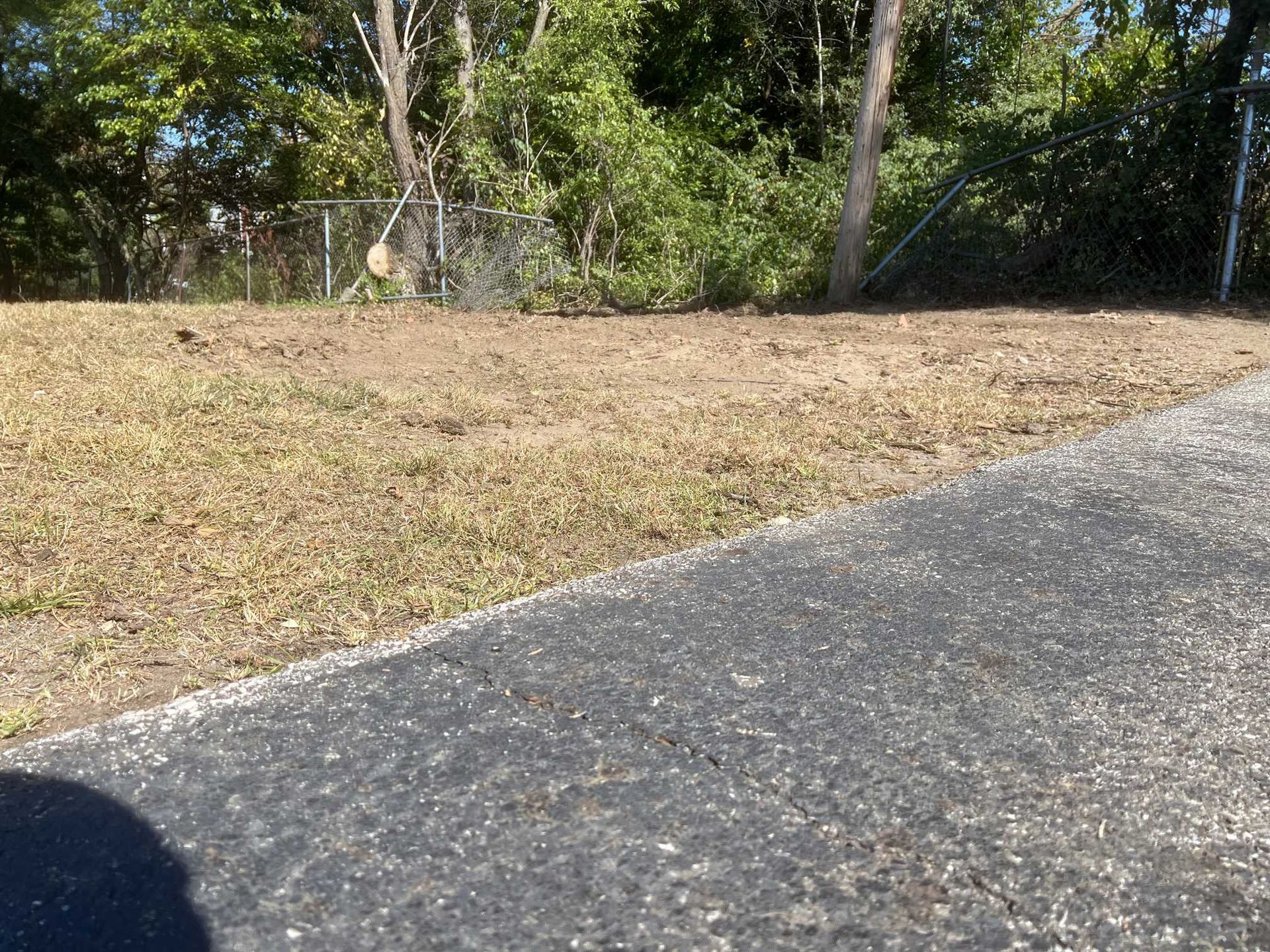 A dirt road leading to a grassy field with trees in the background.