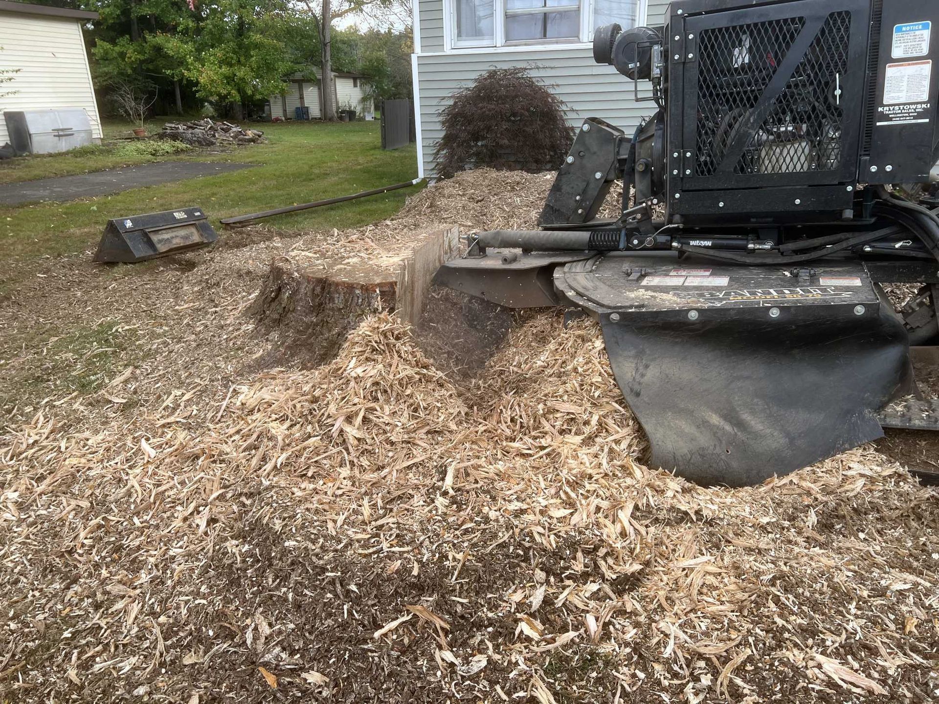 A stump grinder is cutting a tree stump in a yard.