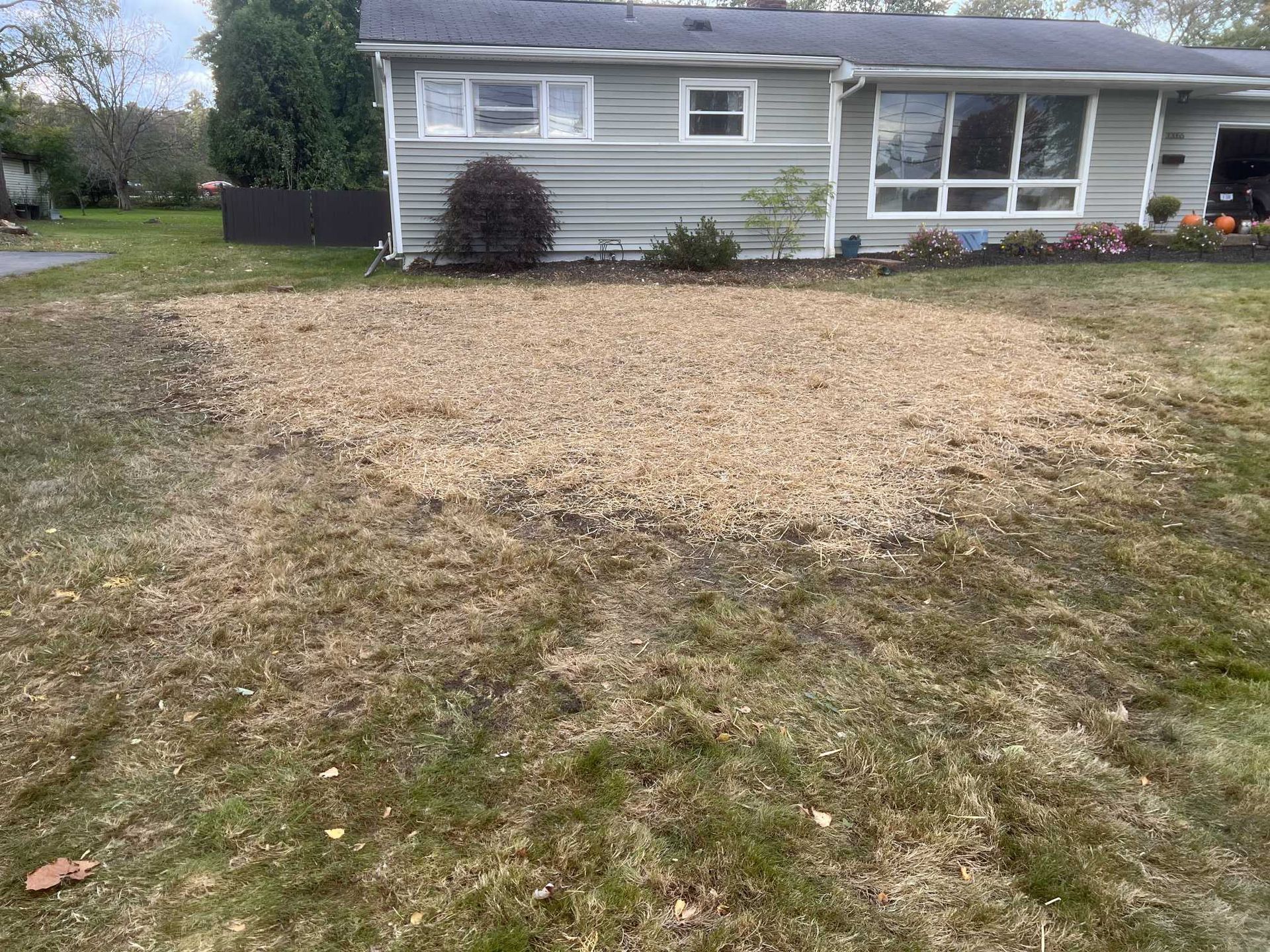 A house with a lot of grass in front of it.