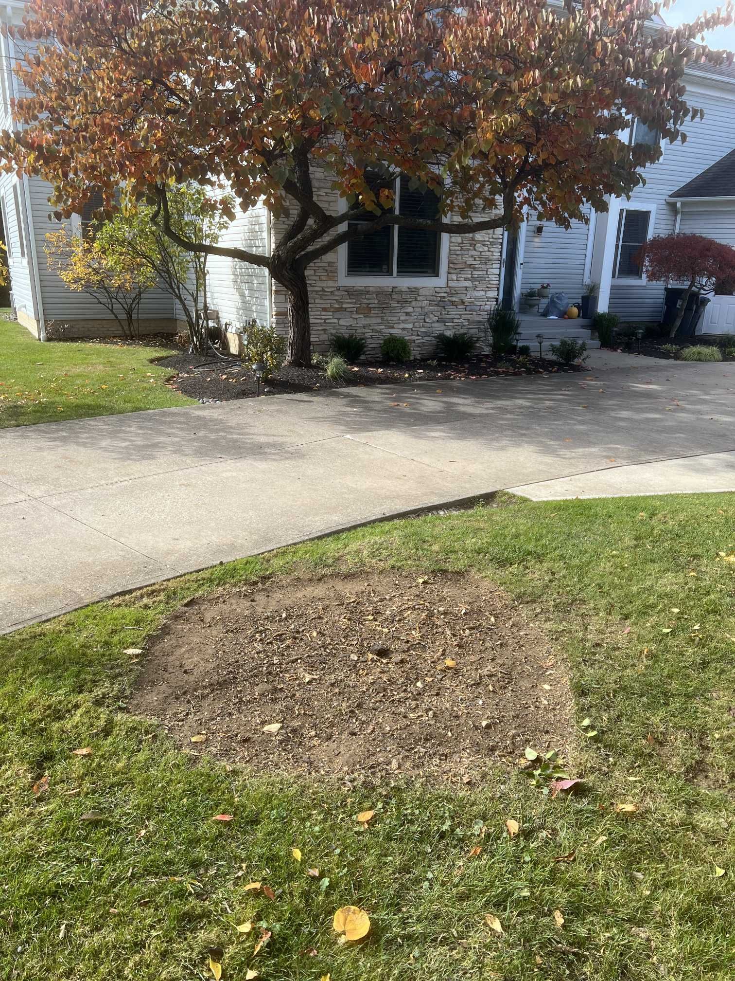 A tree stump in the grass in front of a house.