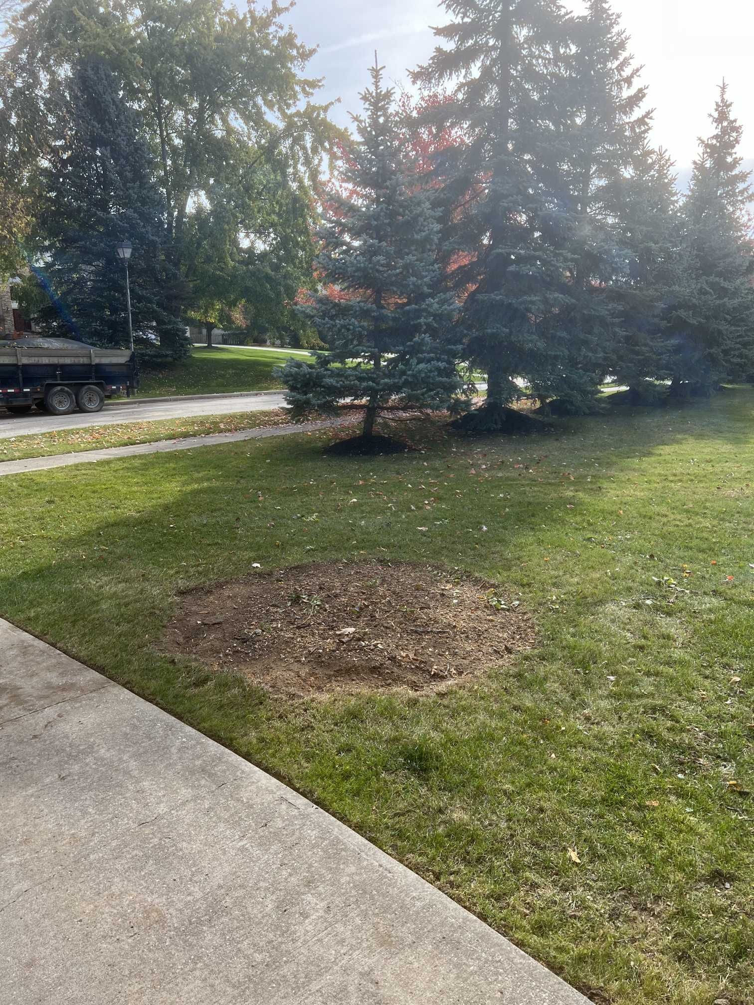 A stump in the middle of a lush green field with trees in the background.