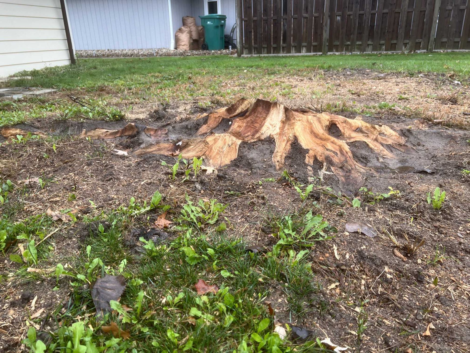 A tree stump in the middle of a yard next to a house.