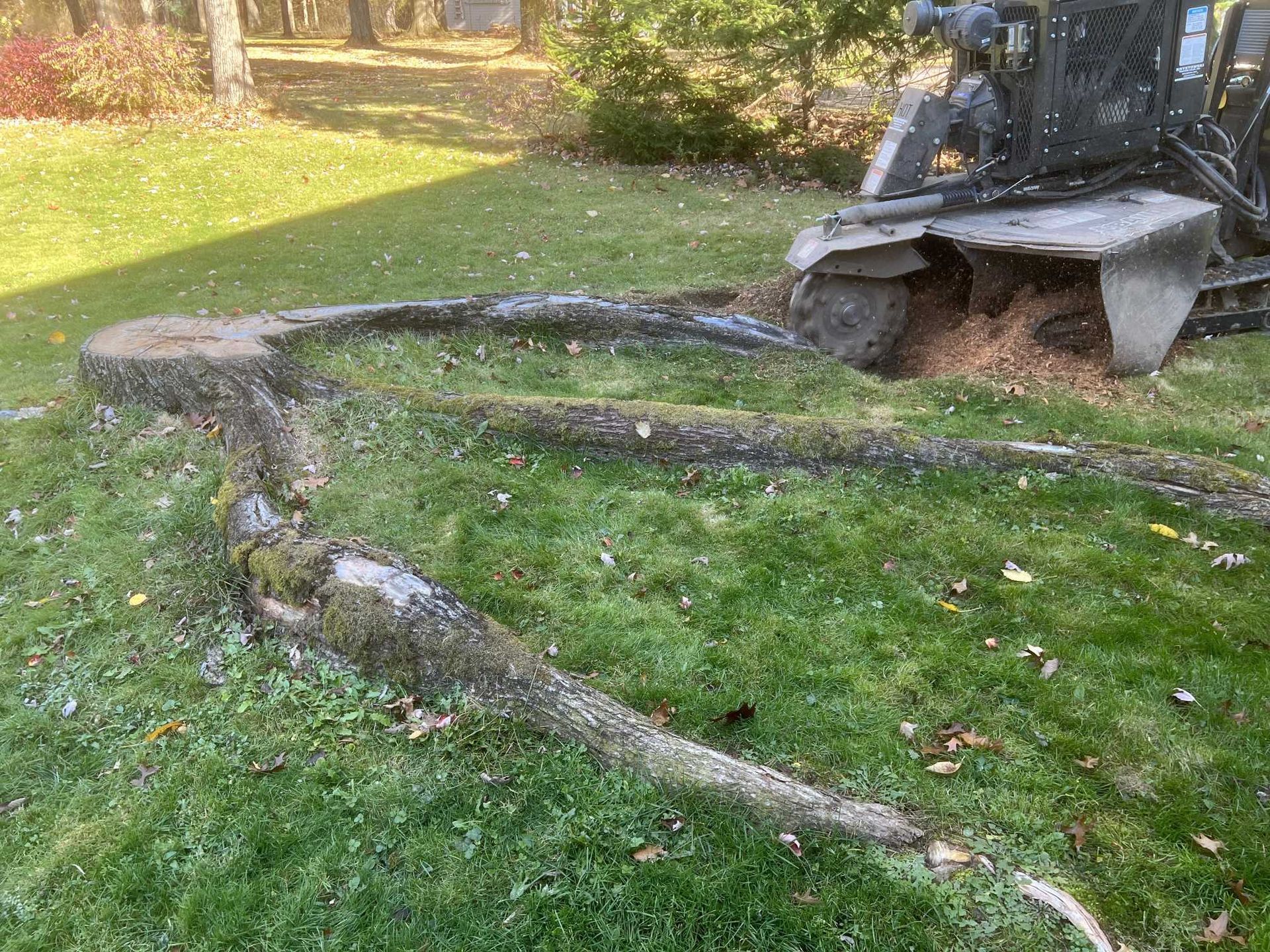 A large tree stump is being removed by a machine in a yard.