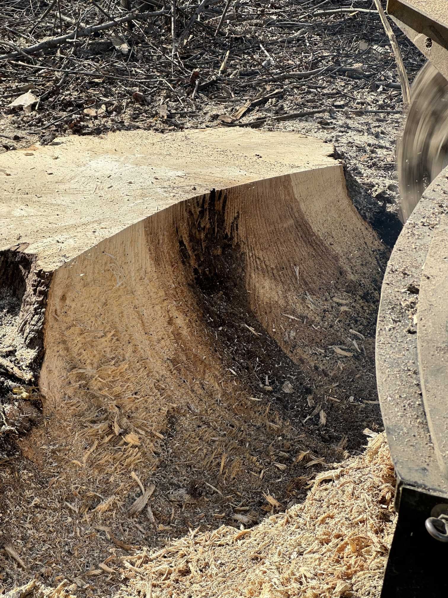 A close up of a tree stump being cut with a machine.