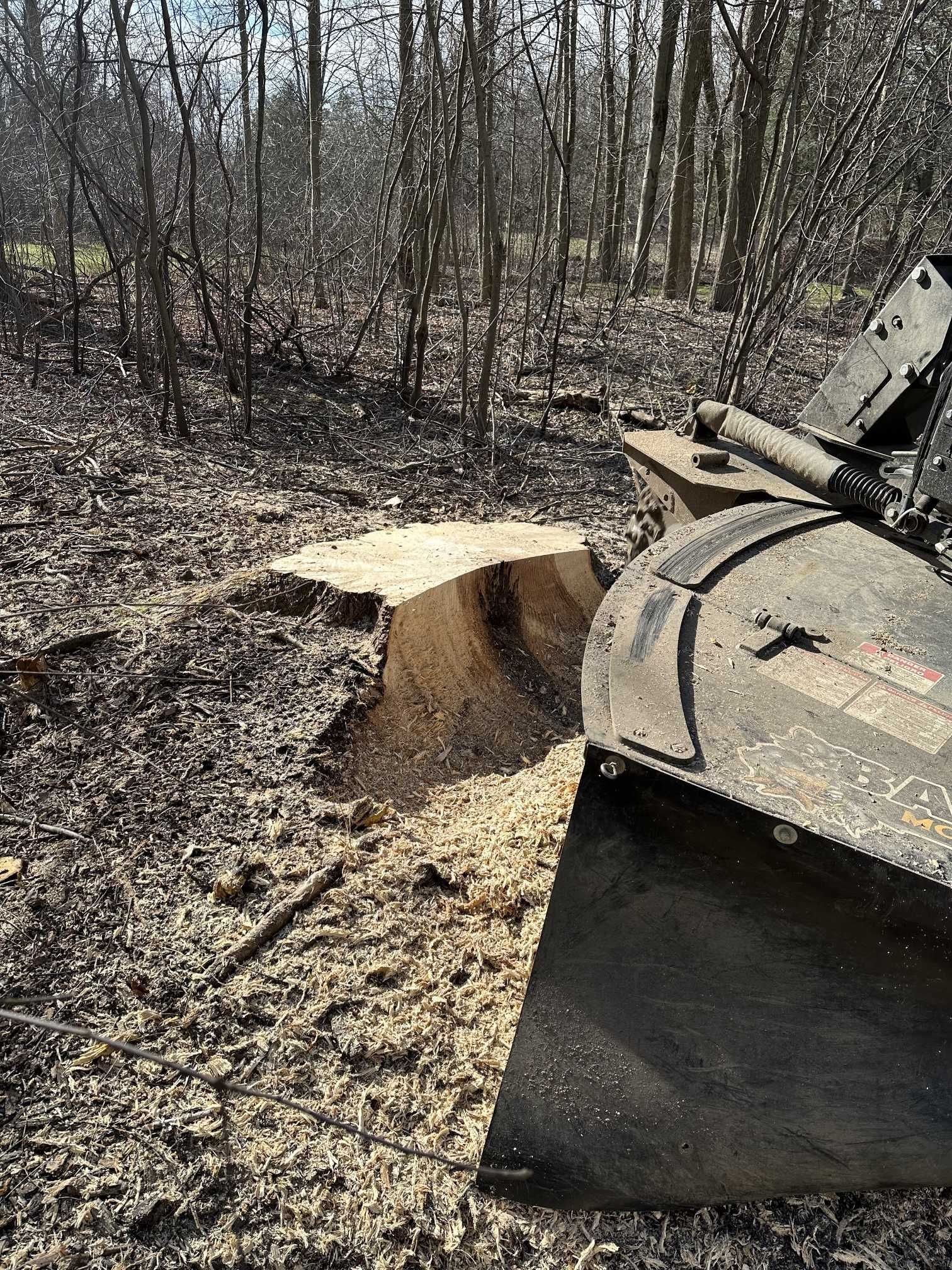 A bulldozer is cutting a tree stump in the woods.