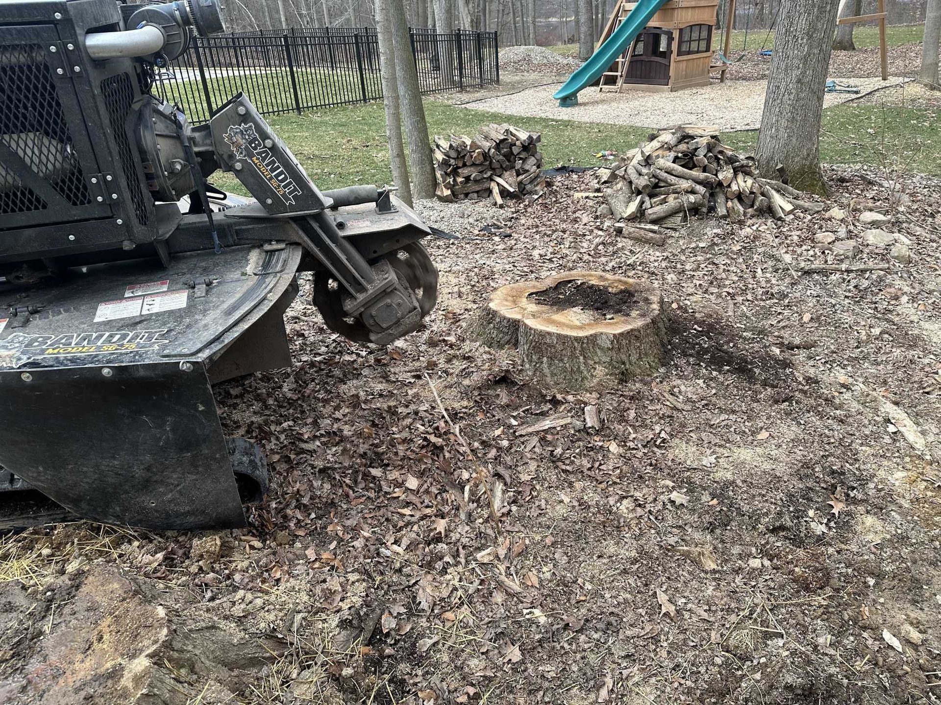 A stump grinder is cutting a tree stump in a yard.