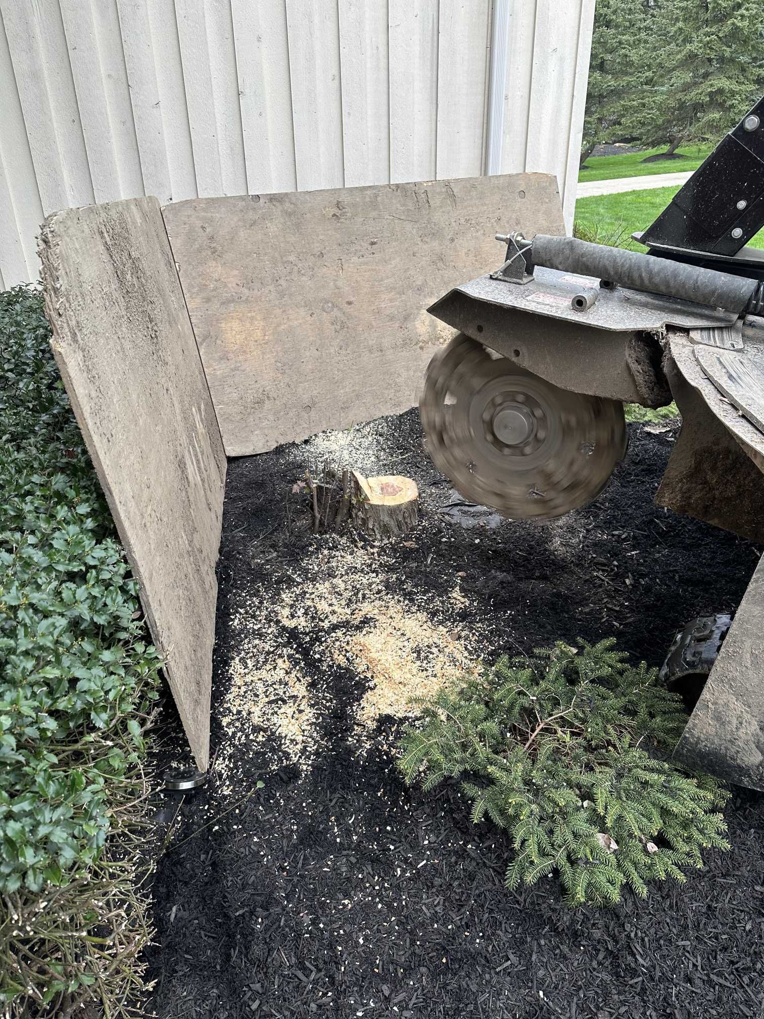 A stump grinder is cutting a tree stump in the ground.