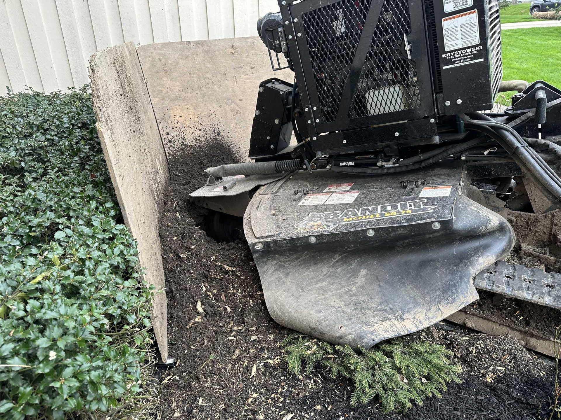 A stump grinder is cutting a tree stump in a yard.