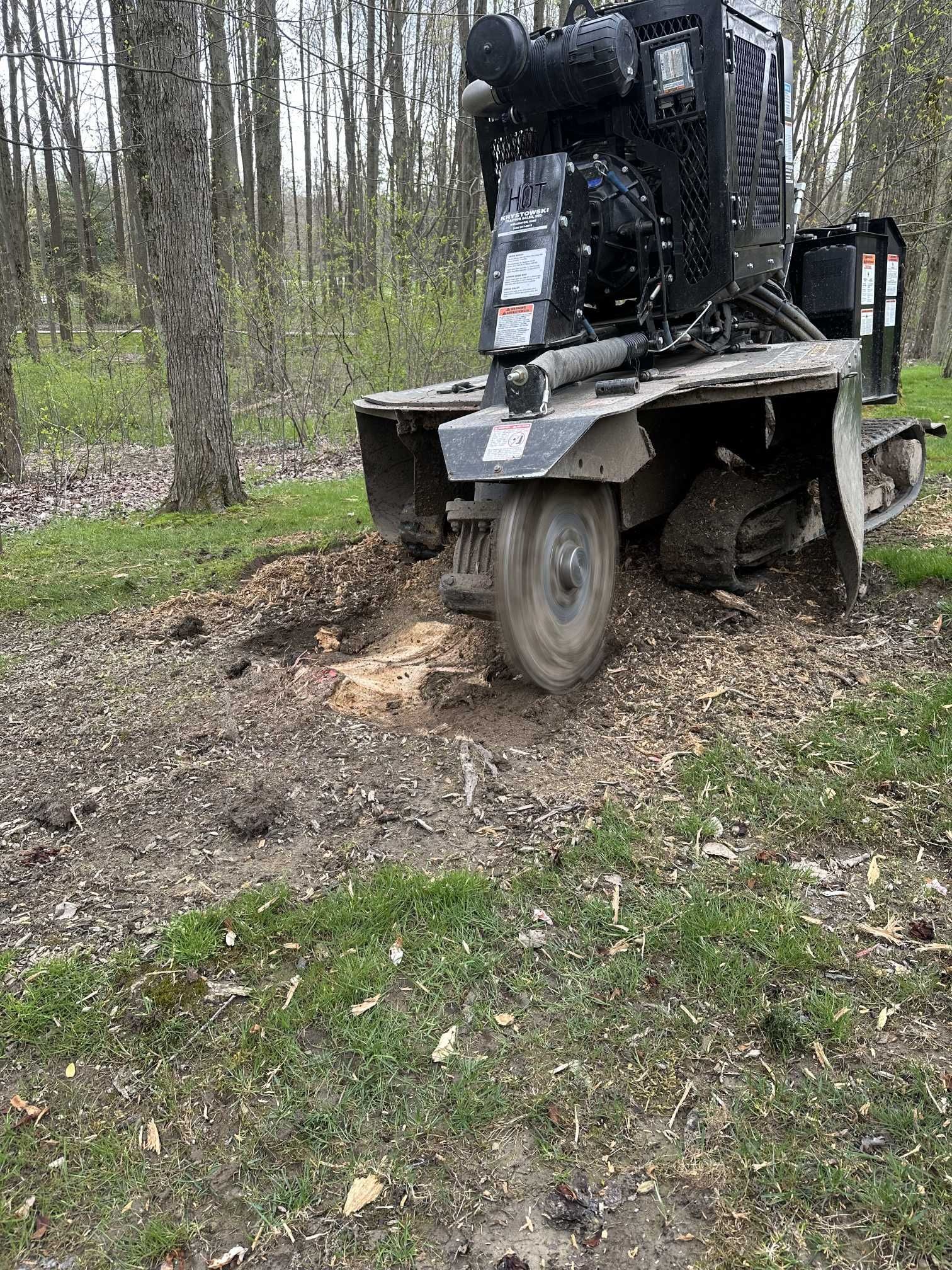 A machine is stump grinding a tree in the woods.