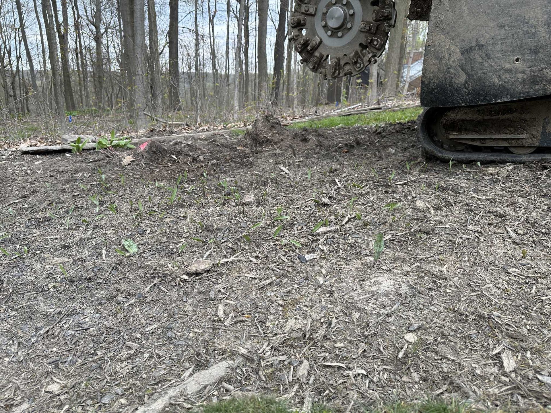 A tractor is cutting a tree stump in the woods.