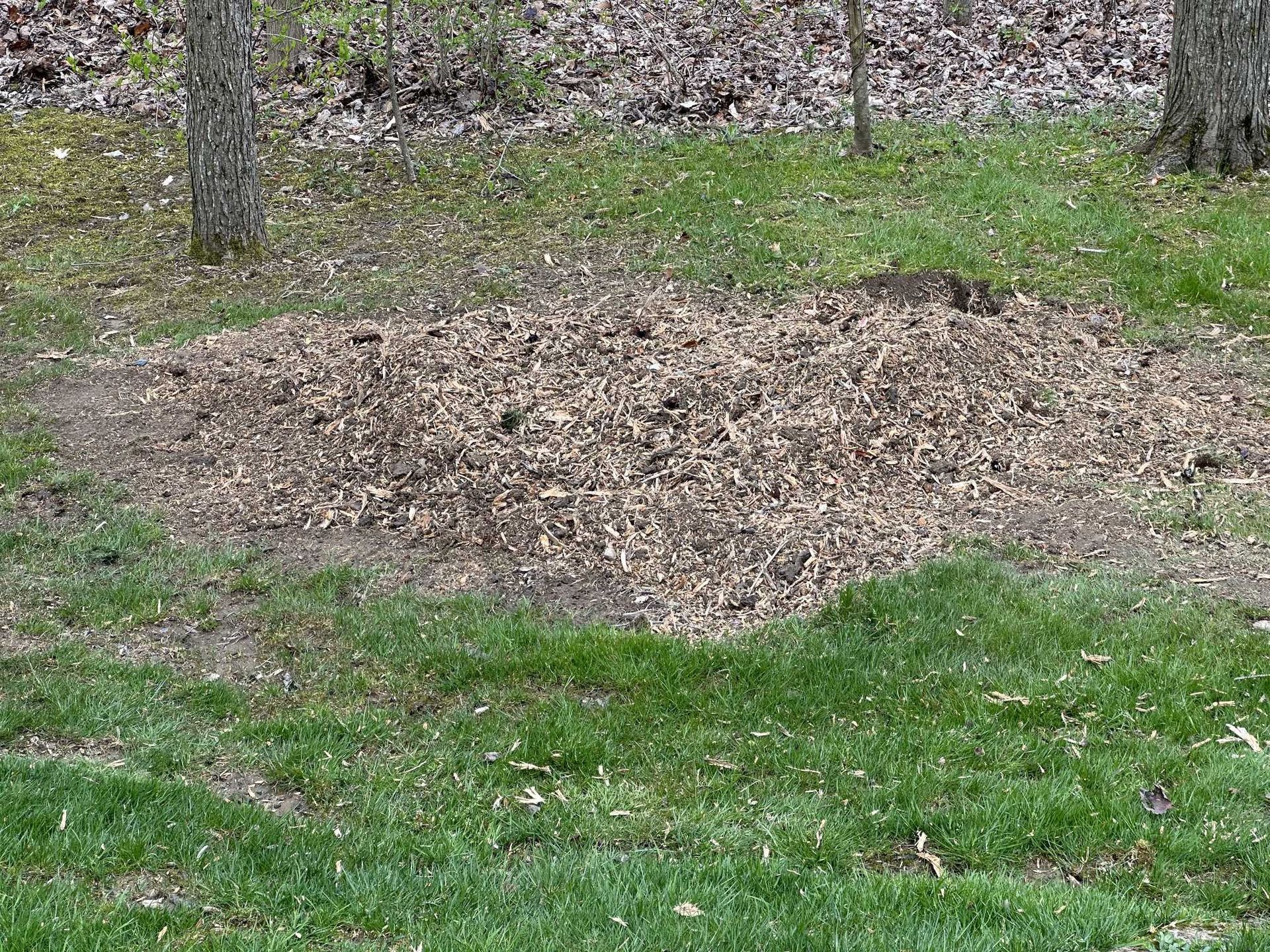 A pile of leaves is sitting in the middle of a lush green field.