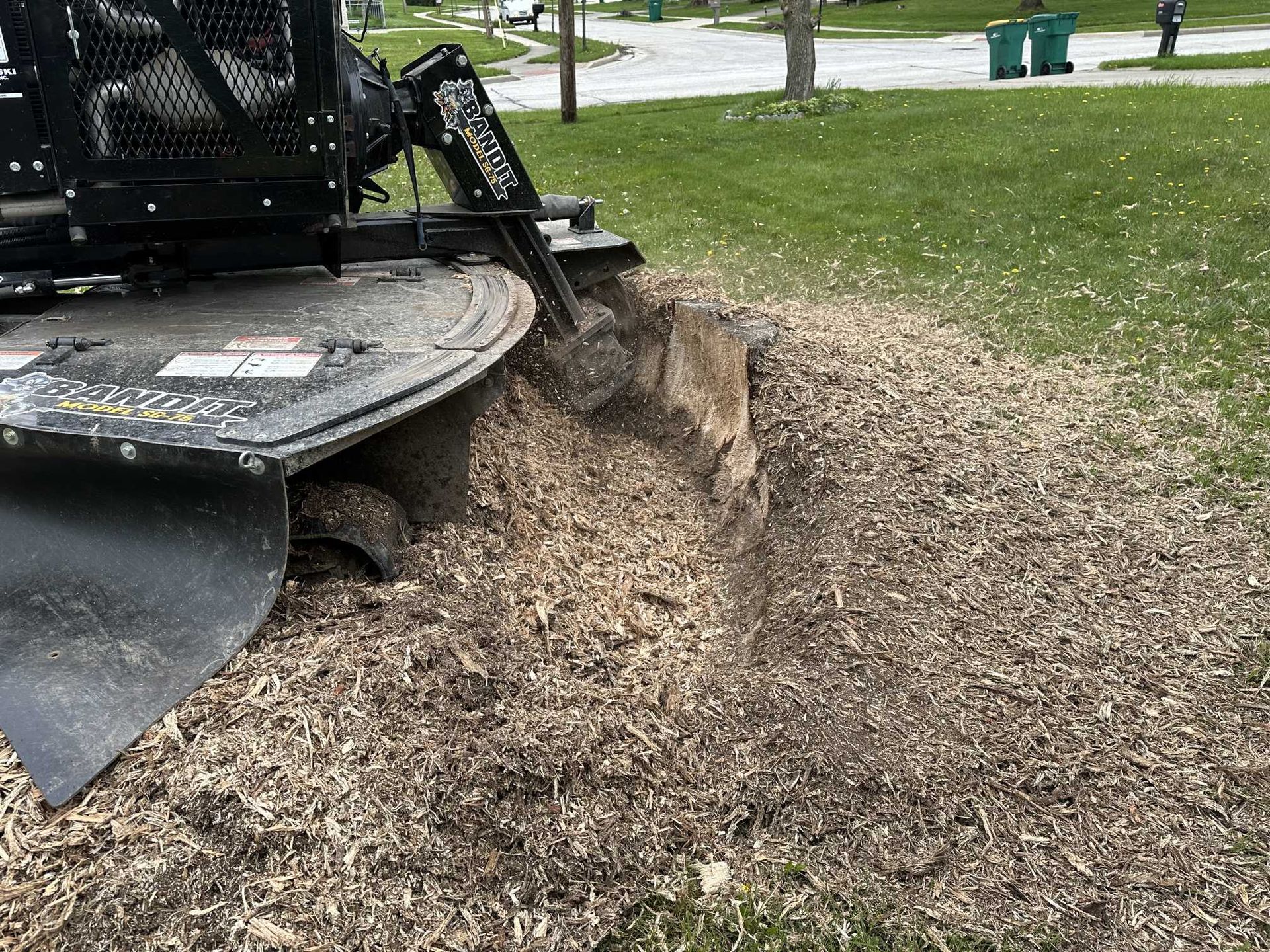A stump grinder is cutting a tree stump in a park.