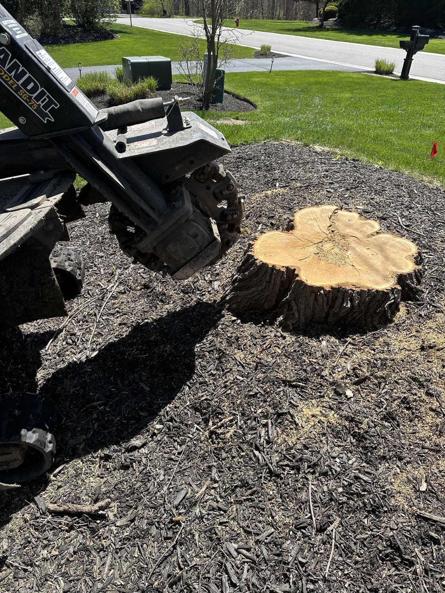 A large tree stump is being removed by a machine.