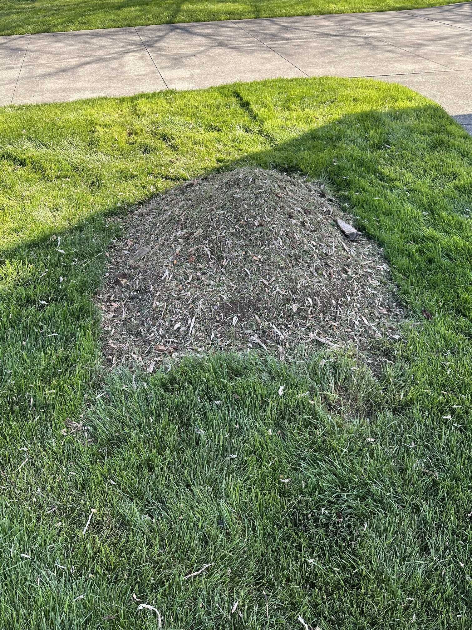 A pile of gravel is sitting in the middle of a lush green lawn.