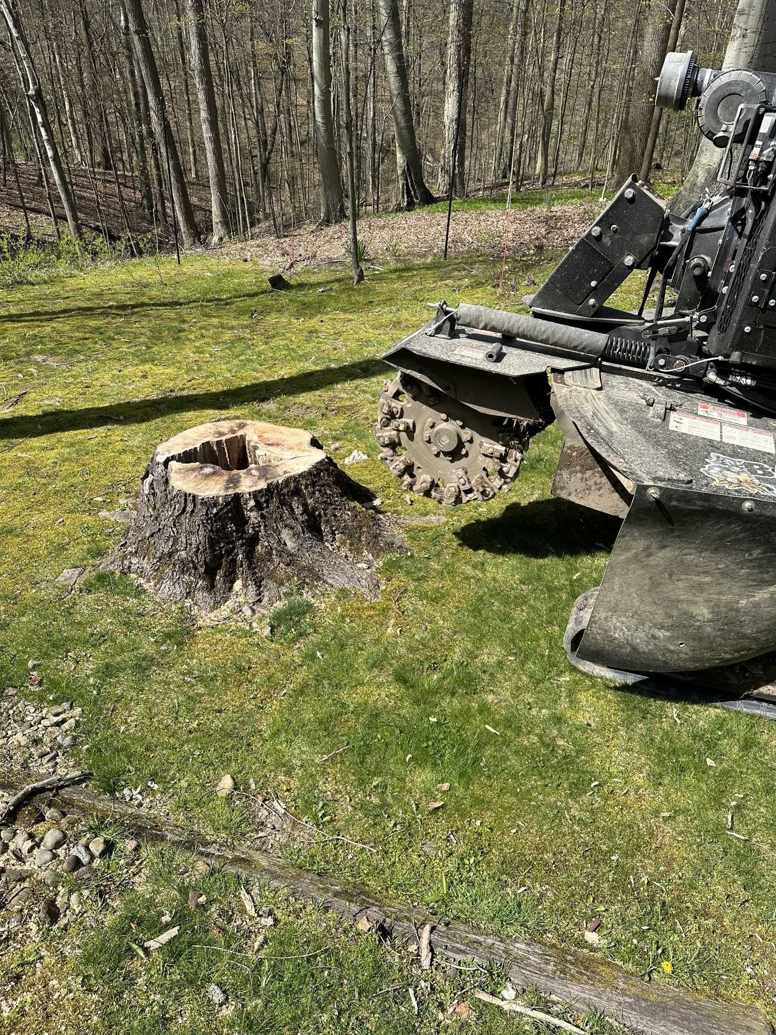 A tree stump is being removed by a machine in a yard.