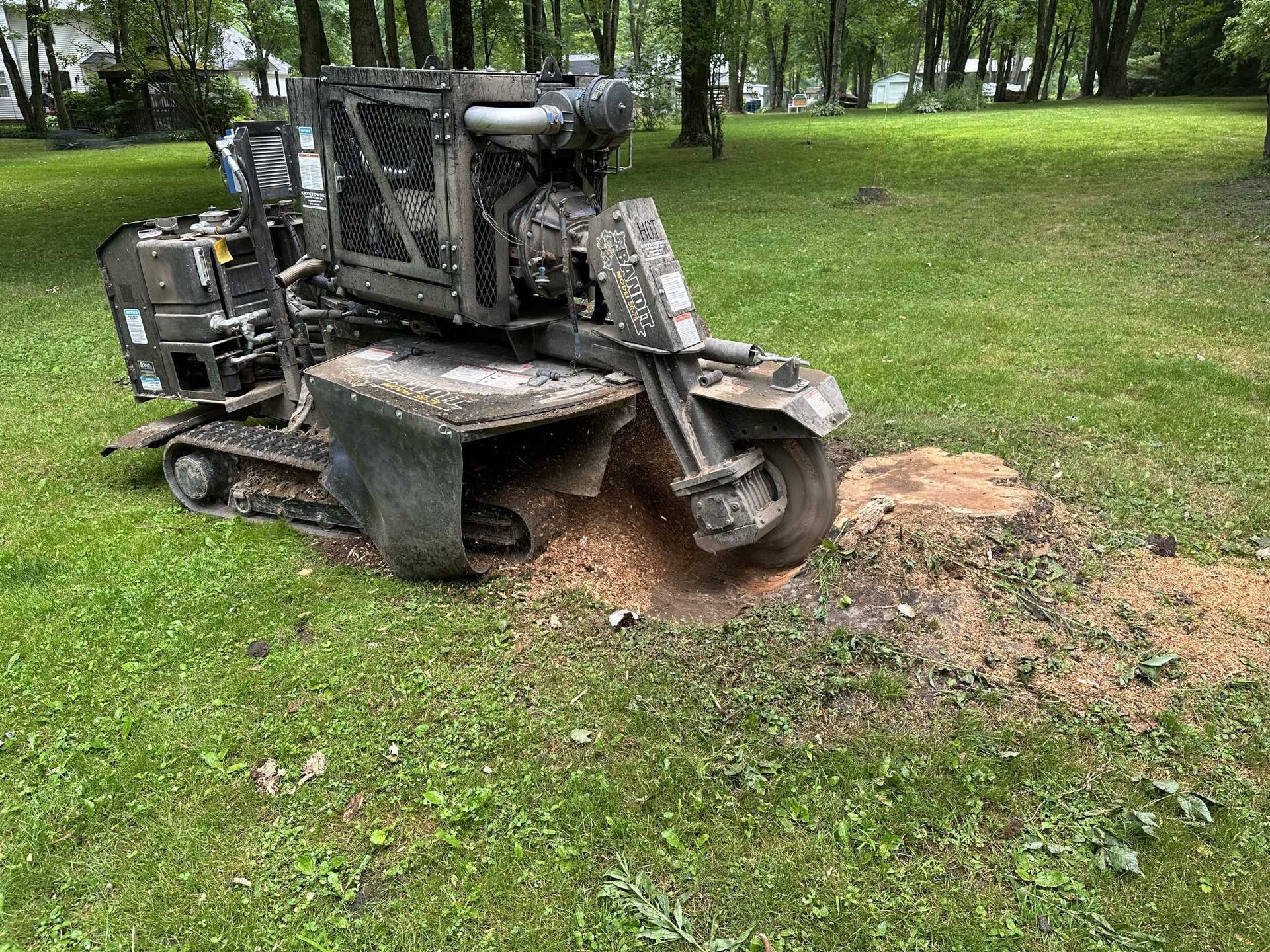 A stump grinder is cutting a tree stump in the grass.
