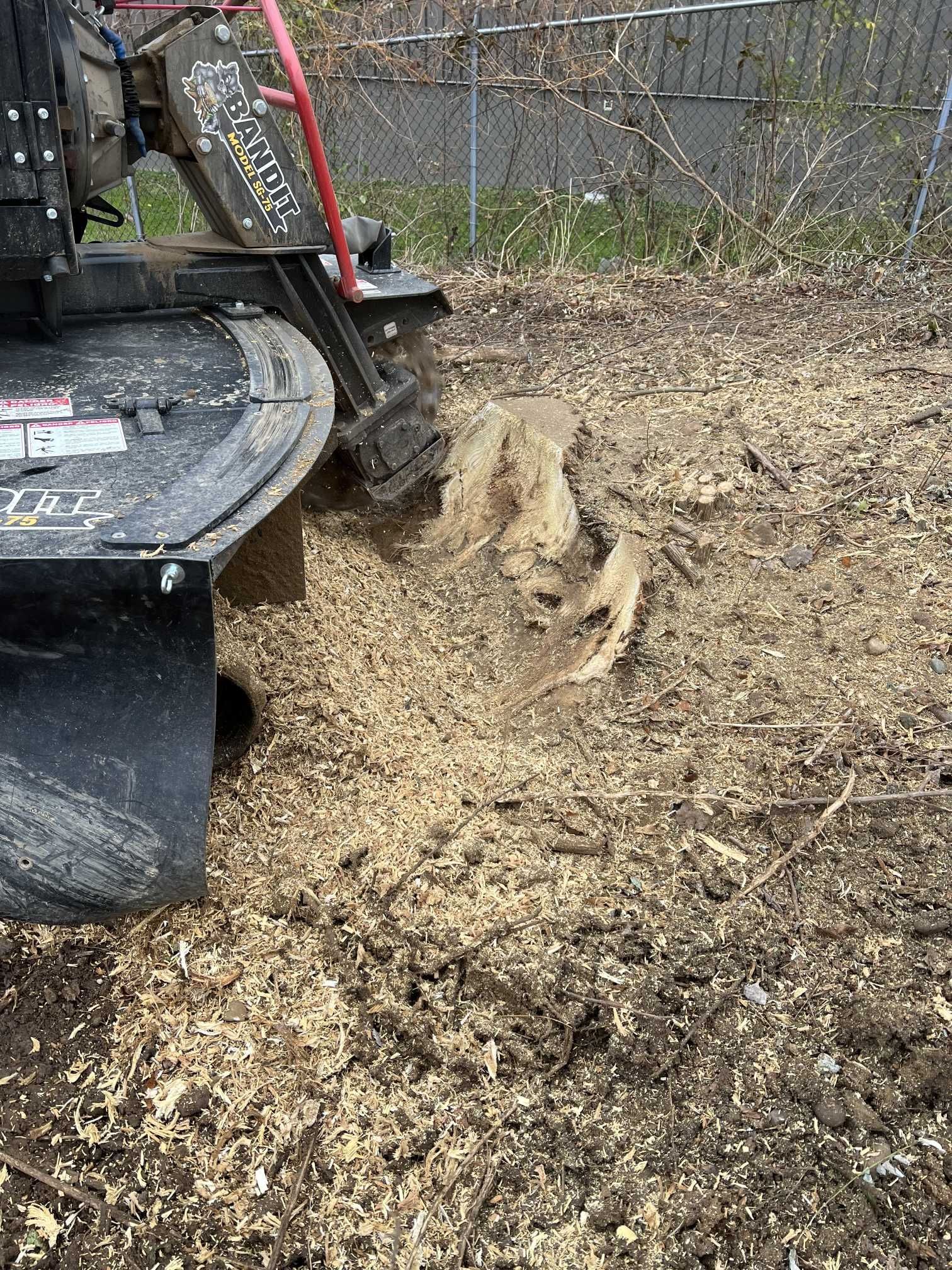 A stump grinder is cutting a tree stump in the ground.