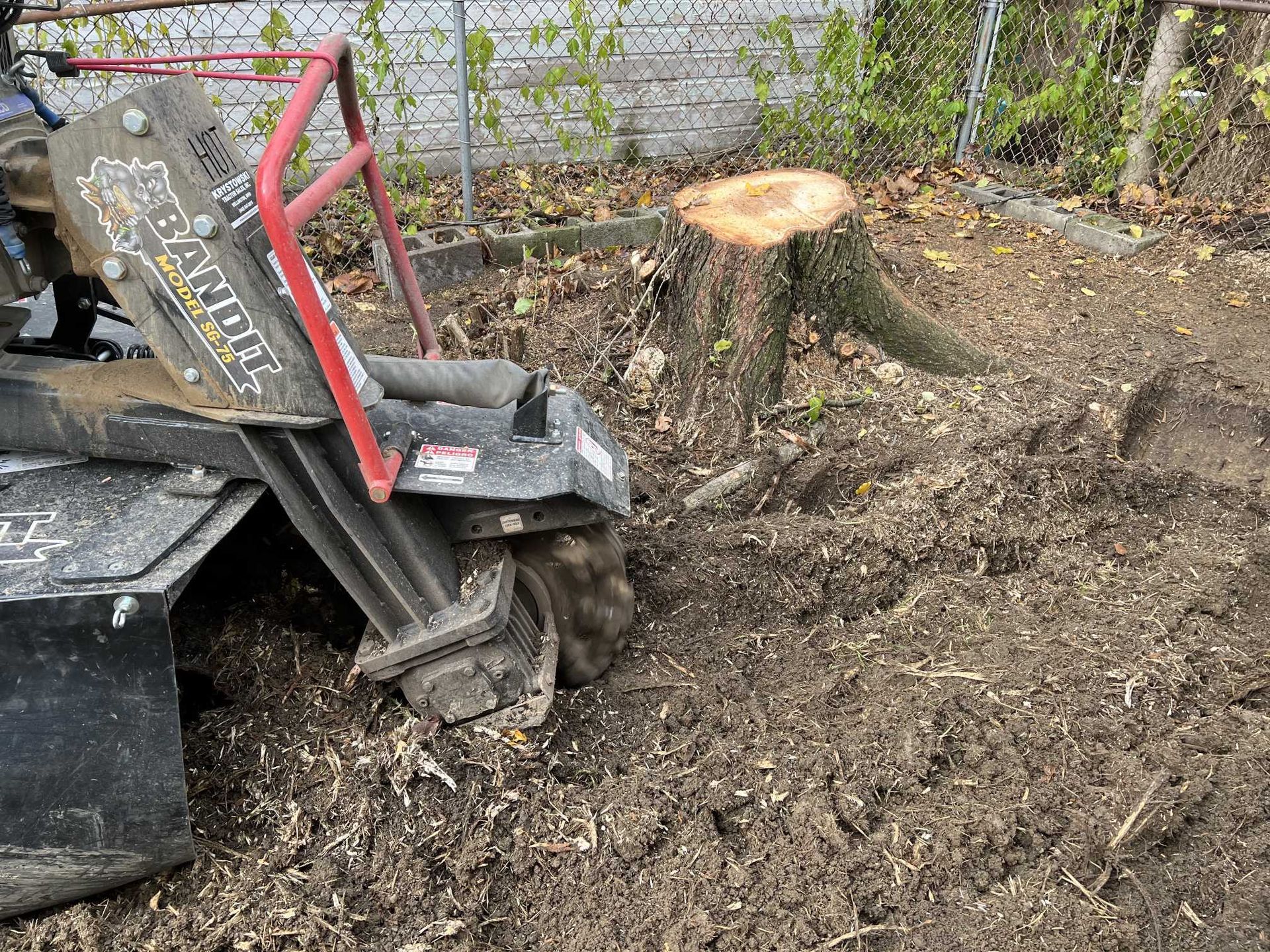 A stump grinder is being used to remove a tree stump.
