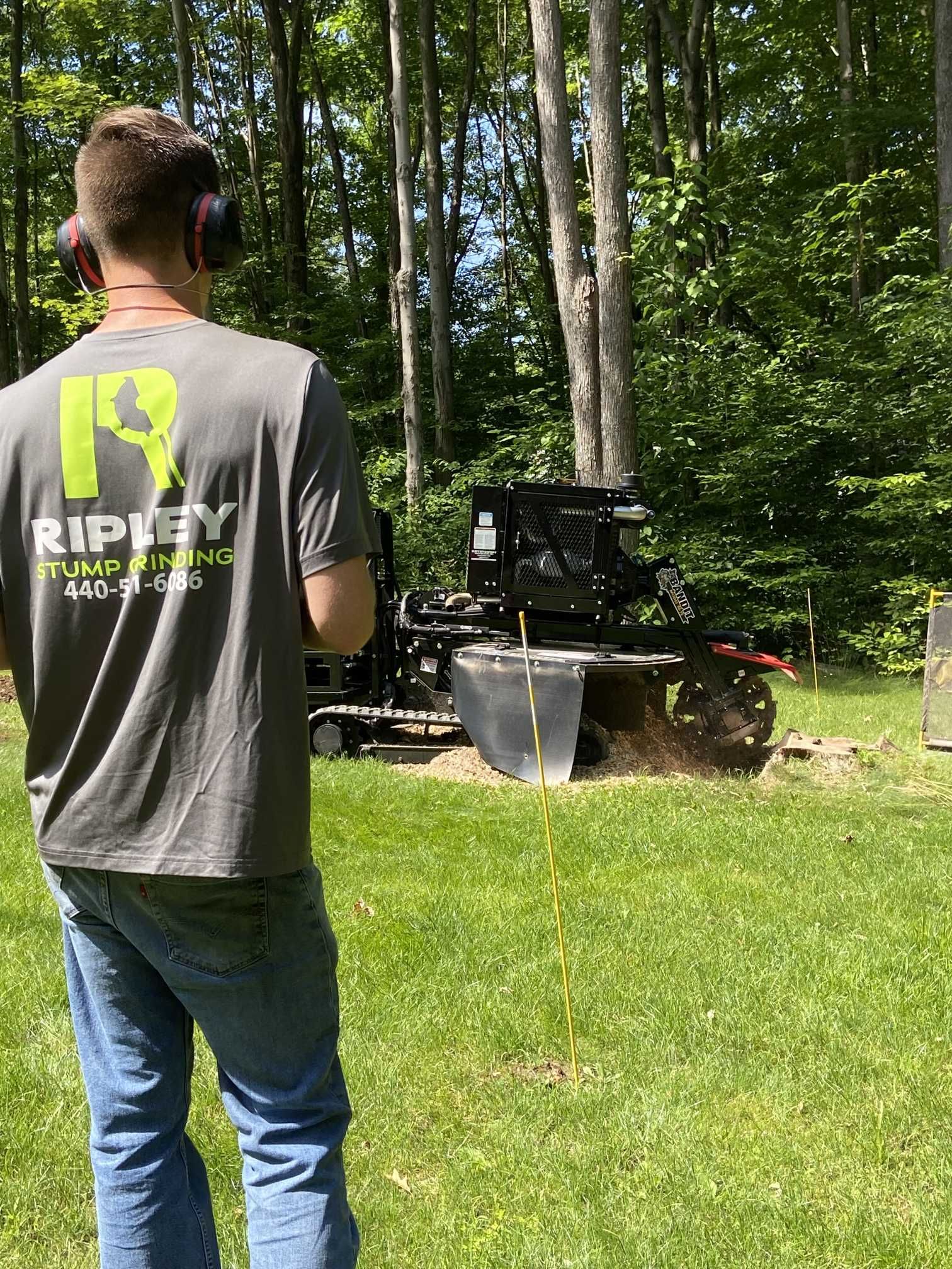 A man wearing headphones is standing in front of a tree stump grinder.