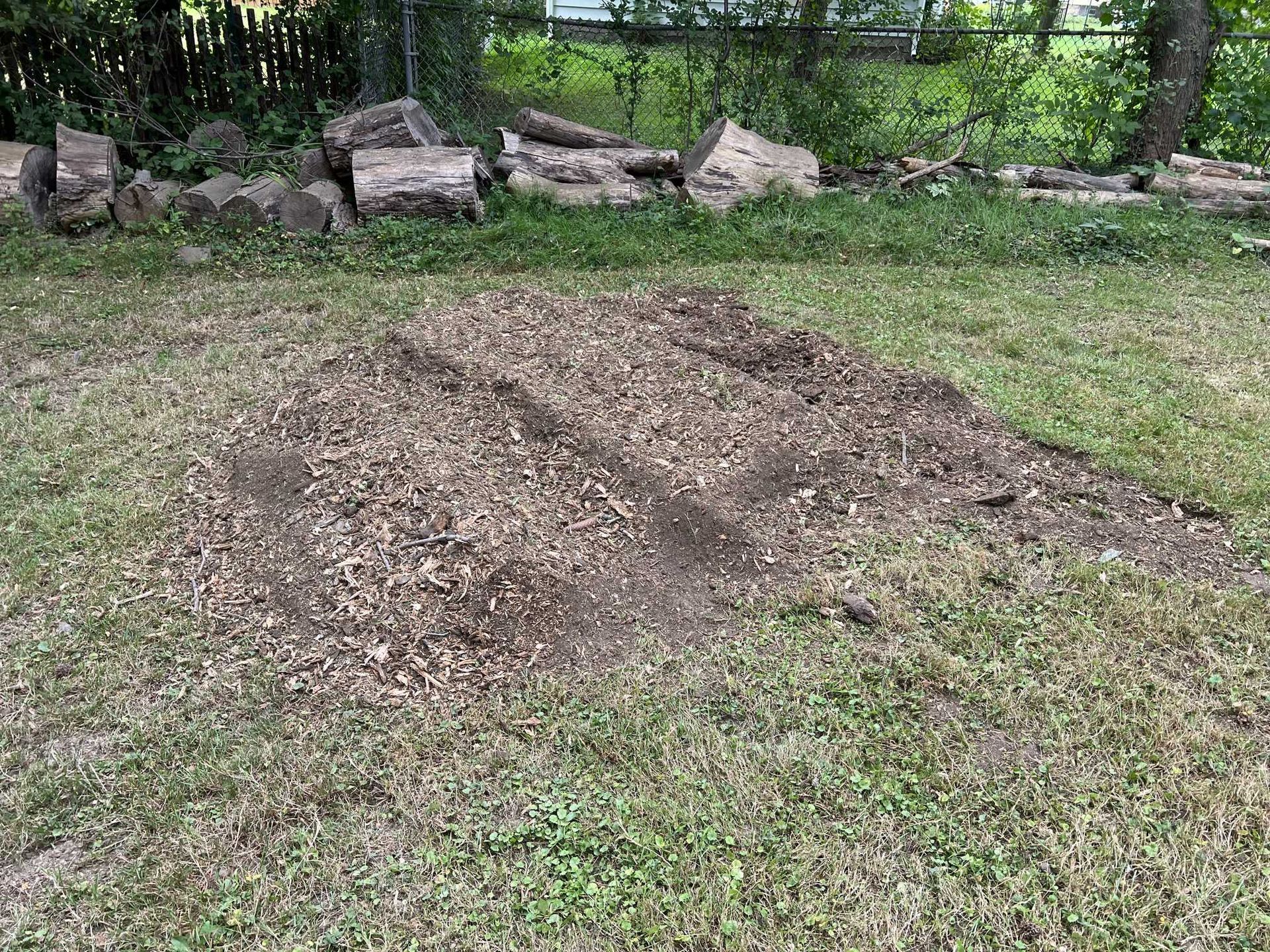 A pile of wood chips is sitting on top of a lush green lawn.