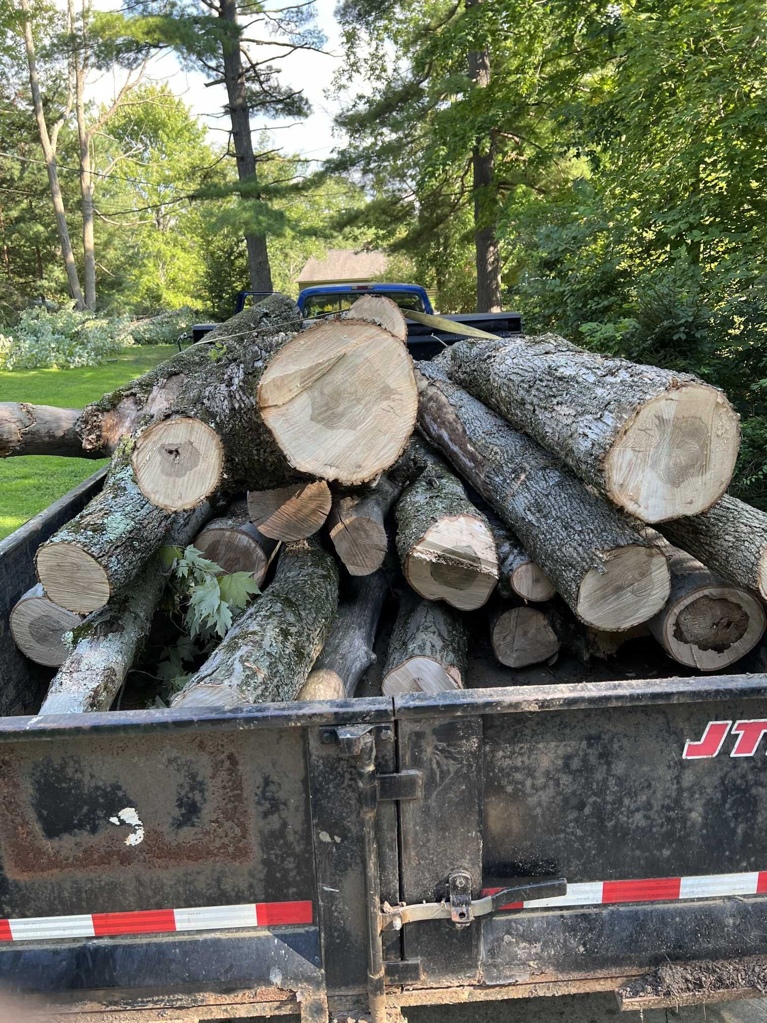 A pile of logs is sitting in the back of a truck.
