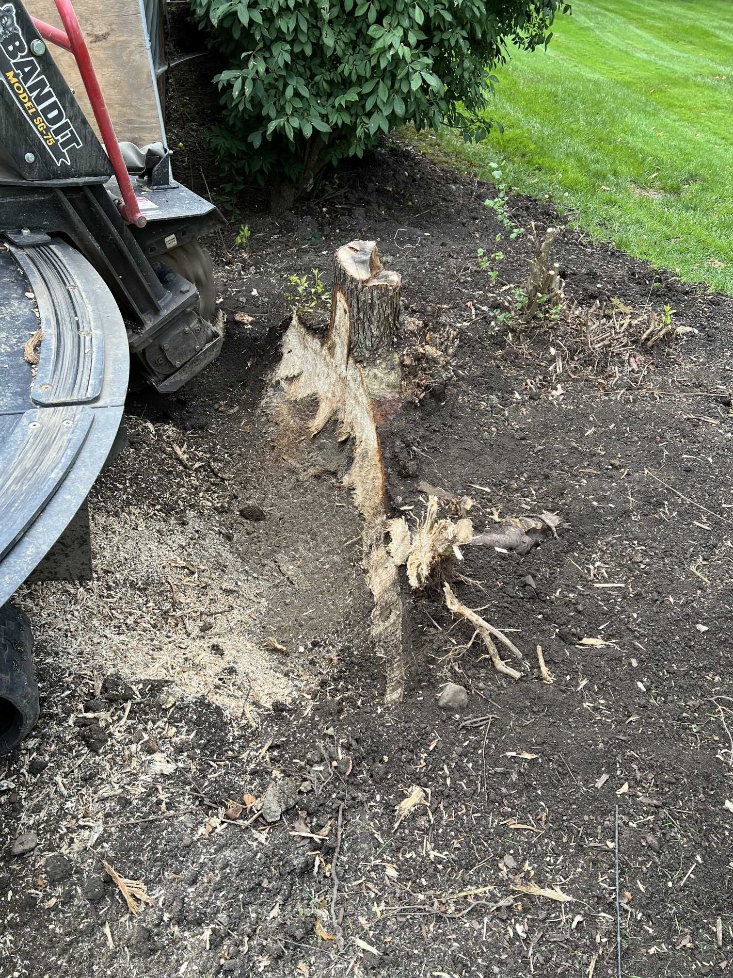 A tree stump is being removed by a machine in a yard.