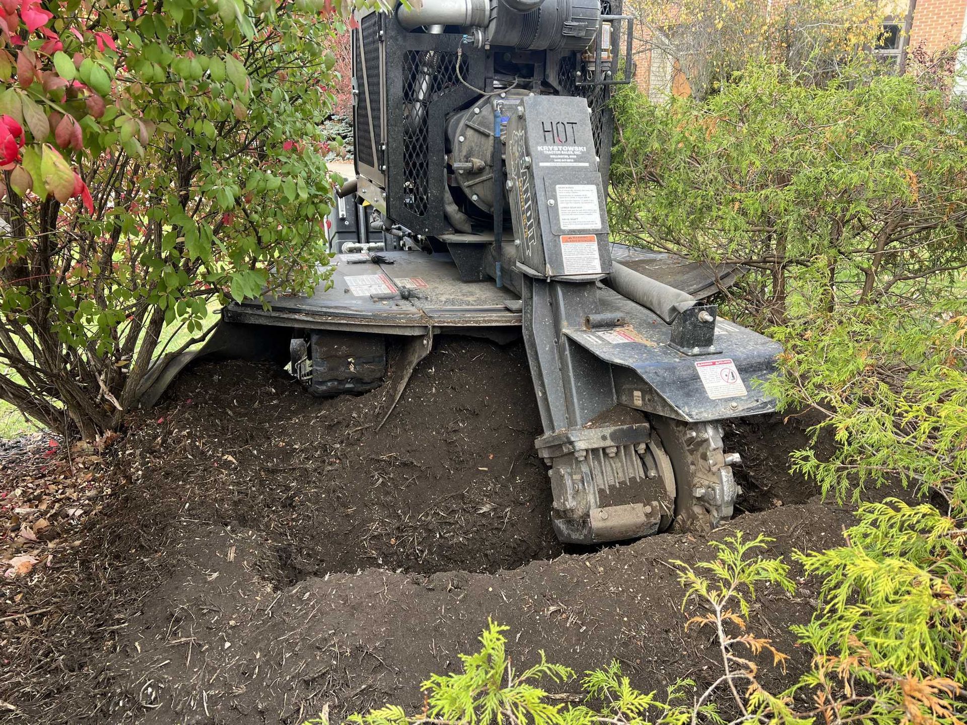 A machine is digging a hole in the ground next to a tree.