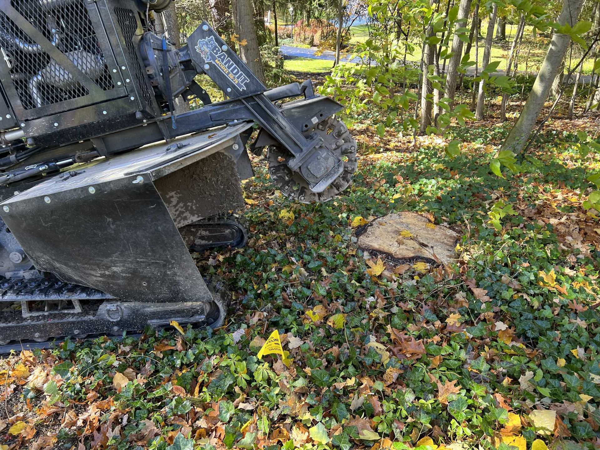 A bulldozer is cutting a tree stump in the woods.