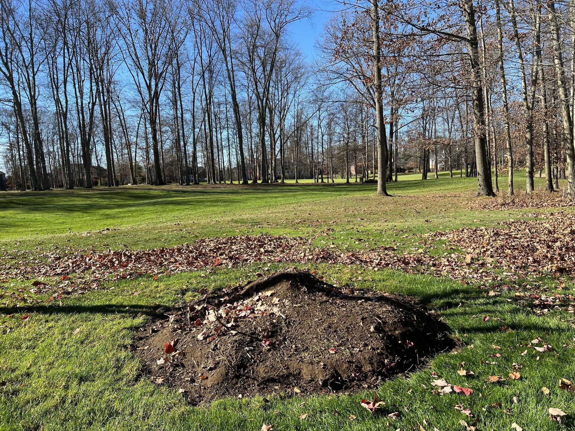 A pile of dirt is sitting in the middle of a grassy field in a park.