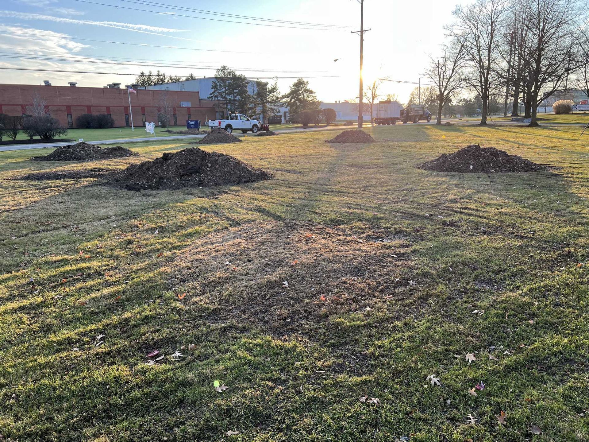A large pile of dirt is sitting in the middle of a grassy field.
