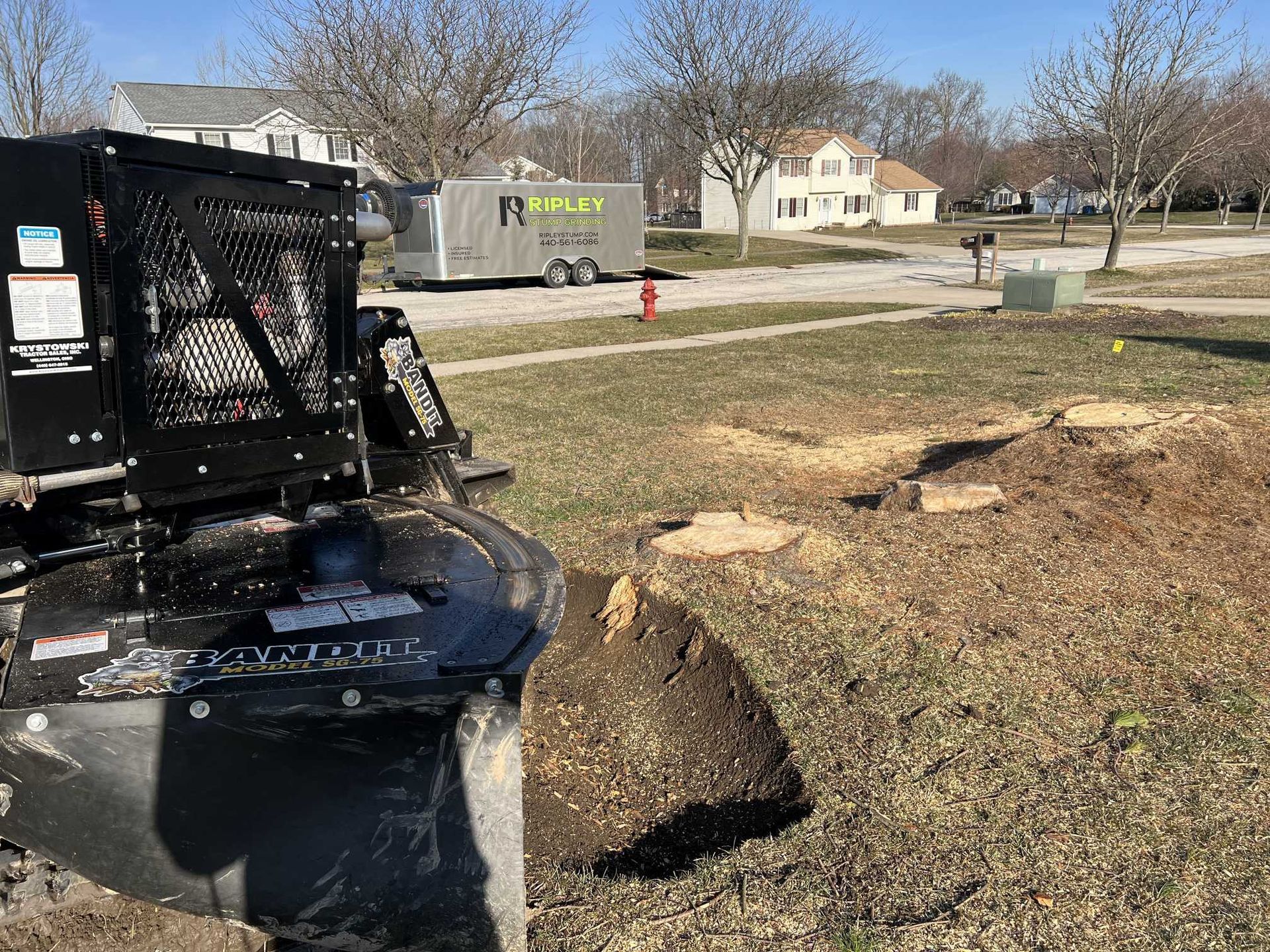 A stump grinder is cutting a tree stump in a park.