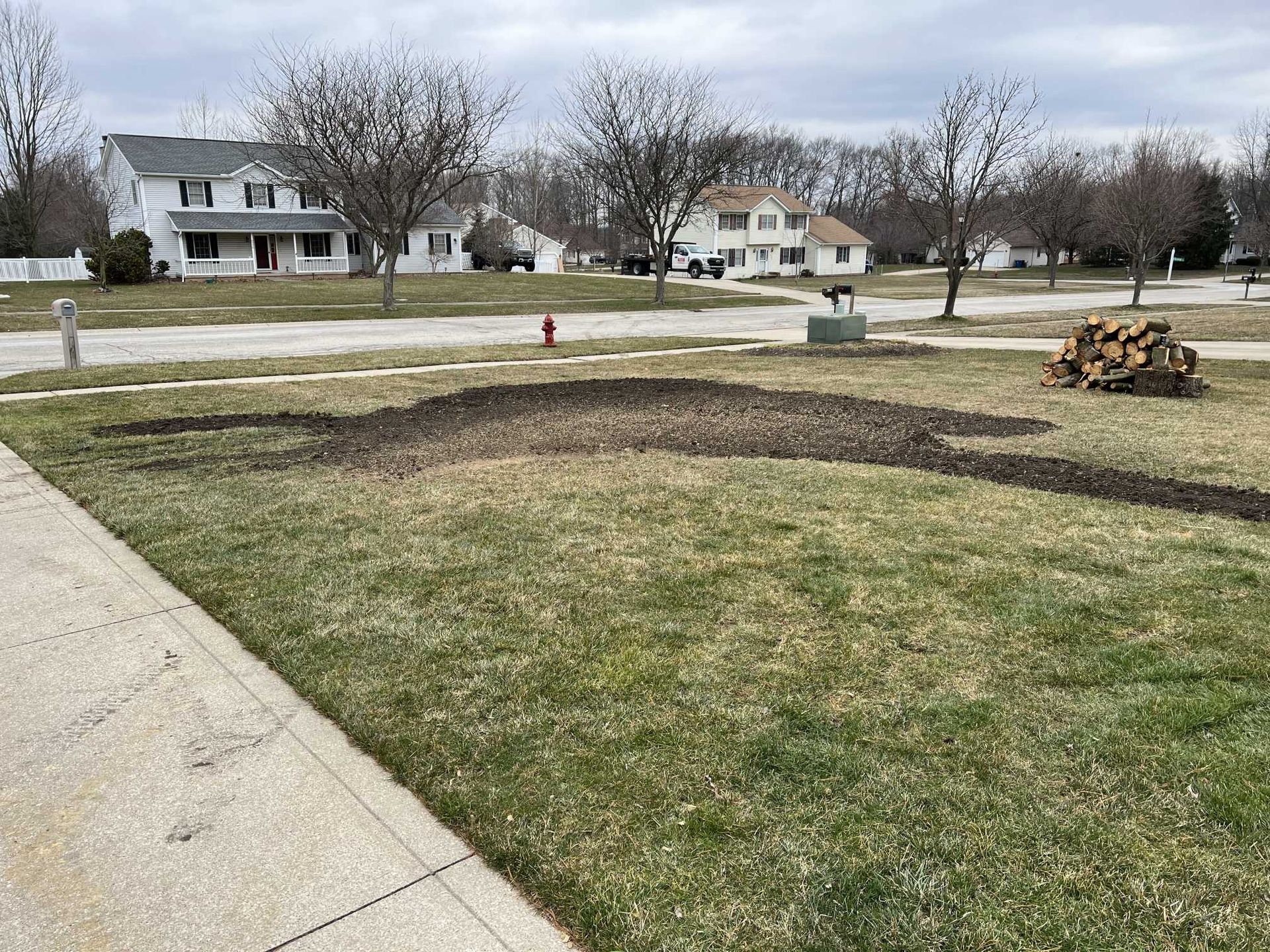 There is a fire hydrant in the middle of the yard.