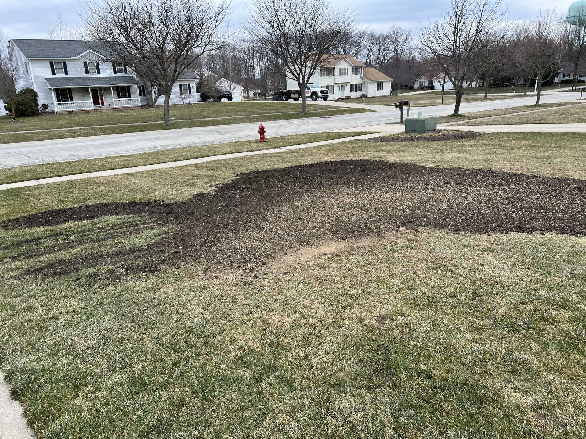 A lawn with a fire hydrant in the middle of it and a house in the background.
