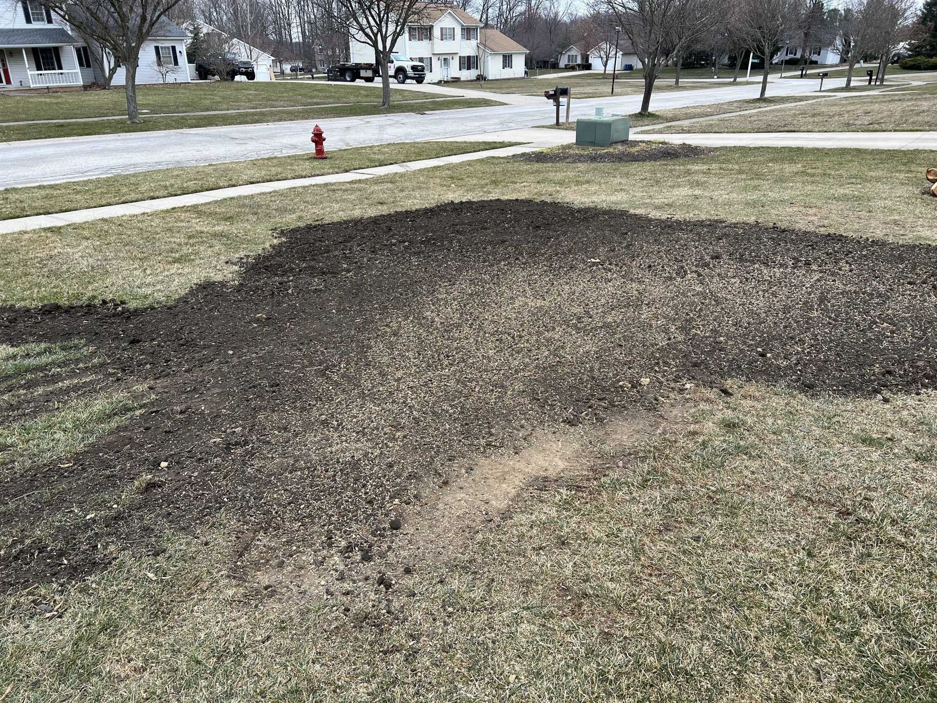 A large pile of dirt is sitting in the middle of a grassy field next to a fire hydrant.