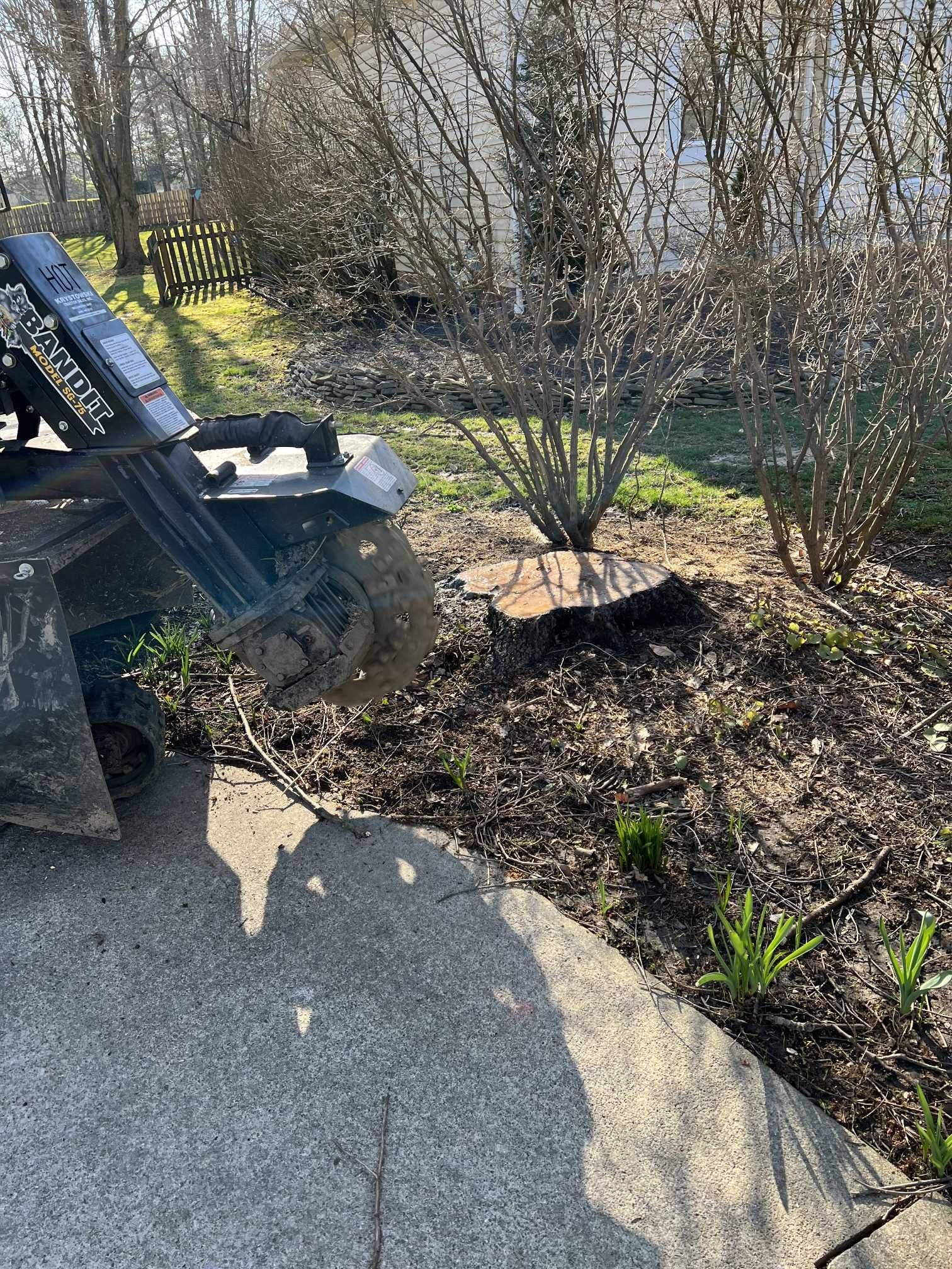 A machine is cutting a tree stump in a garden.
