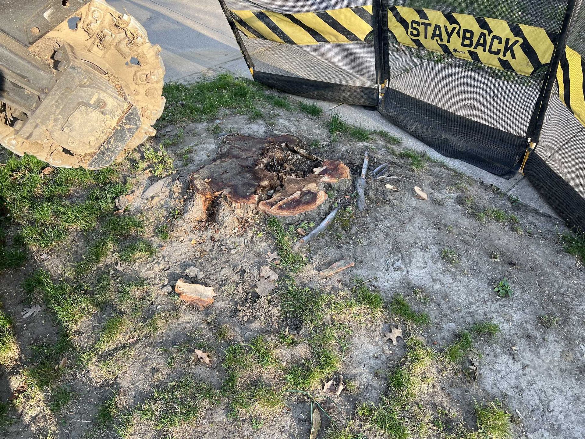 A large tree stump is being removed from the ground next to a fence.
