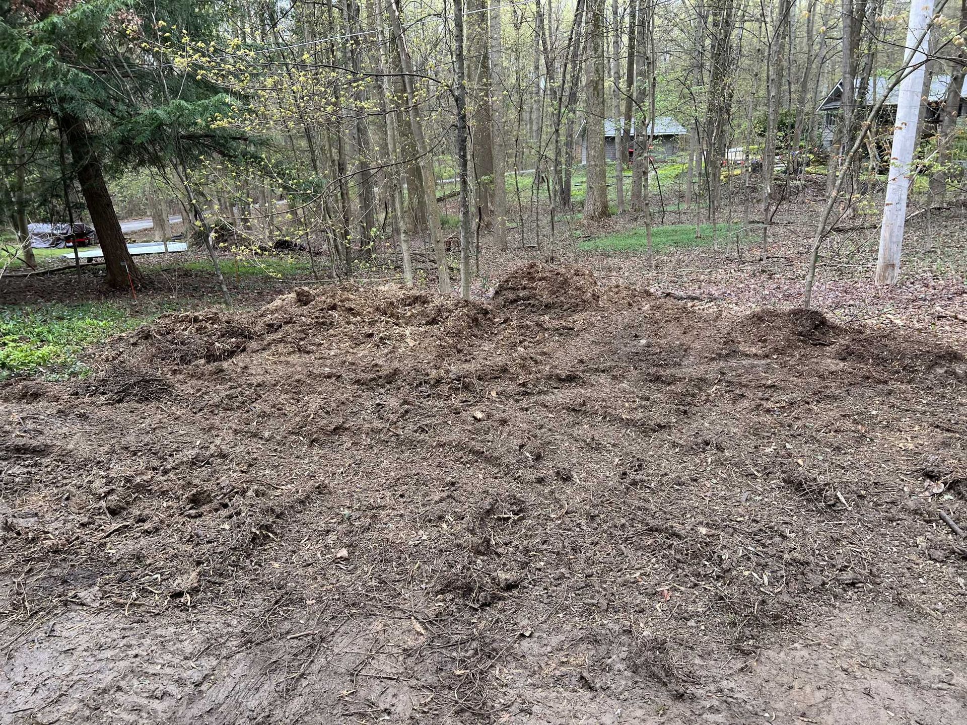 There is a large pile of dirt in the middle of the woods.