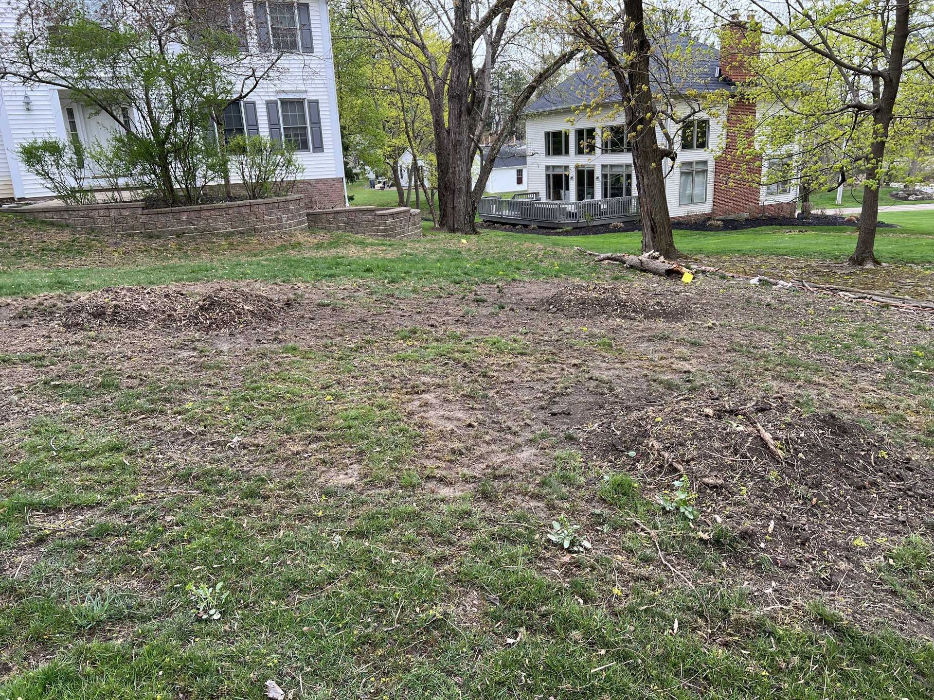 There is a house in the background and a lot of grass in the foreground.