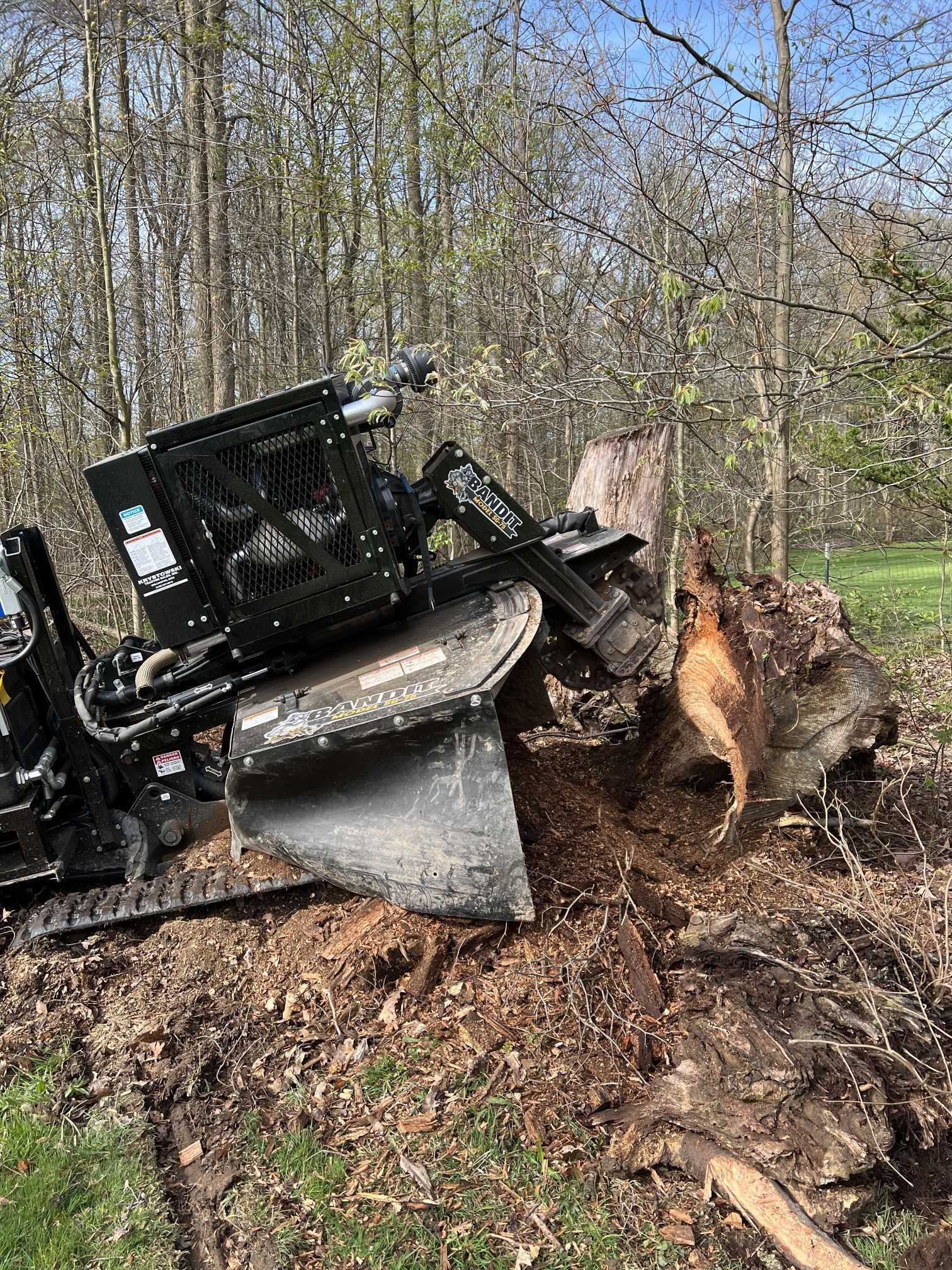 A bulldozer is cutting a tree stump in the woods.